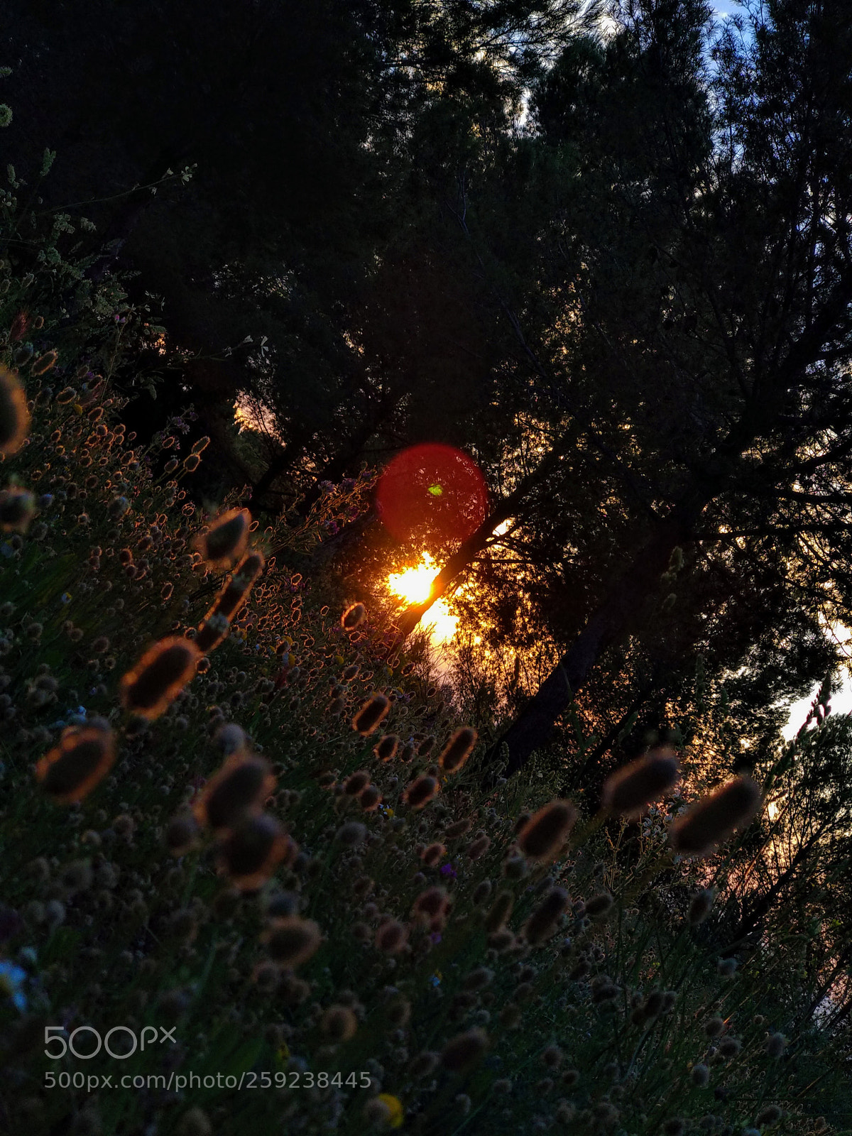 Xiaomi Mi A1 sample photo. Life photography