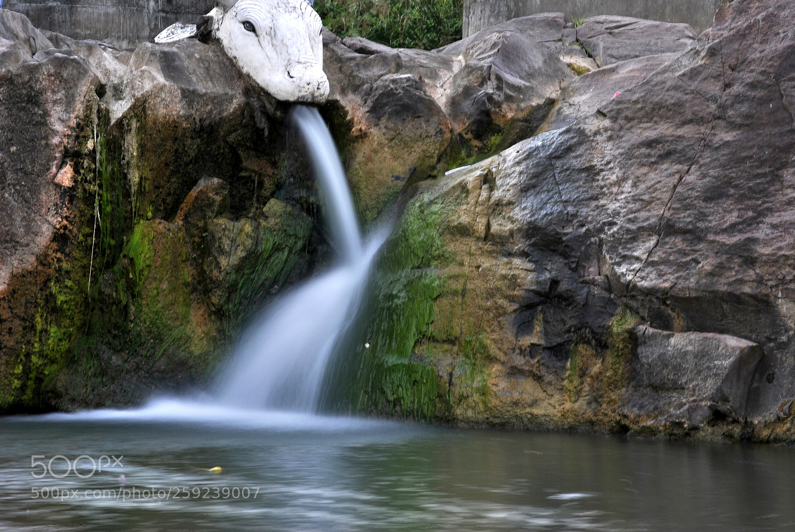 Nikon D3000 sample photo. Kelvad.jpg photography