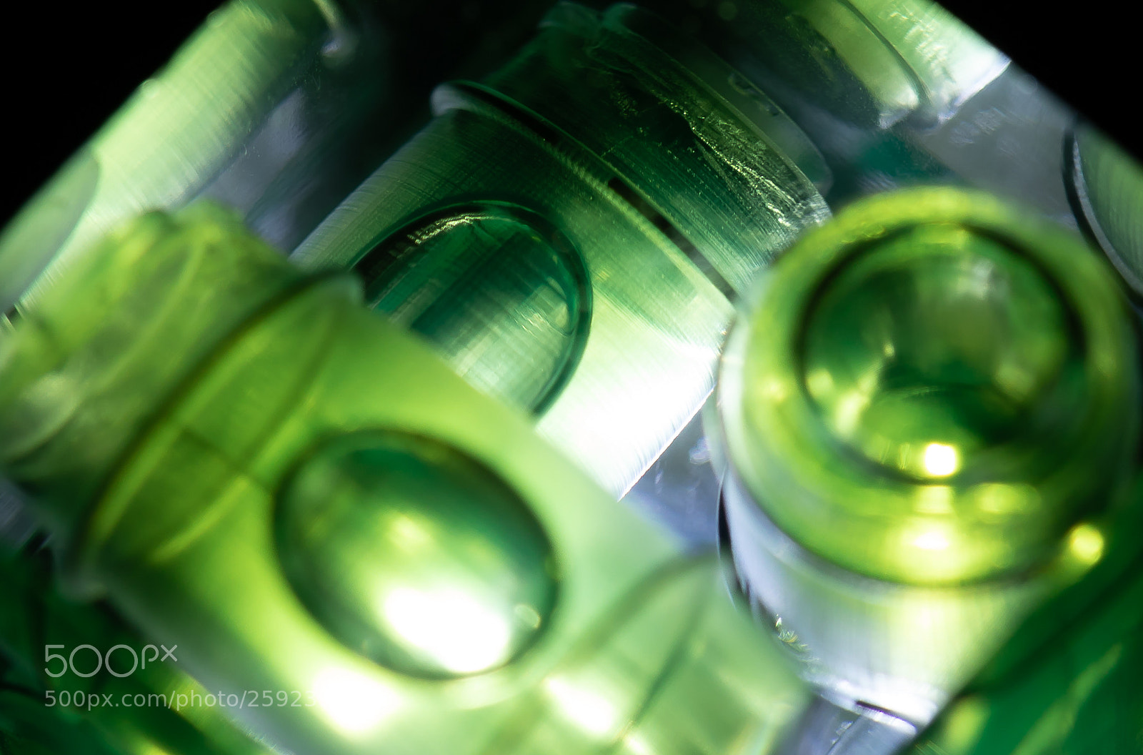 Canon EOS 5D Mark IV sample photo. Camera level photography