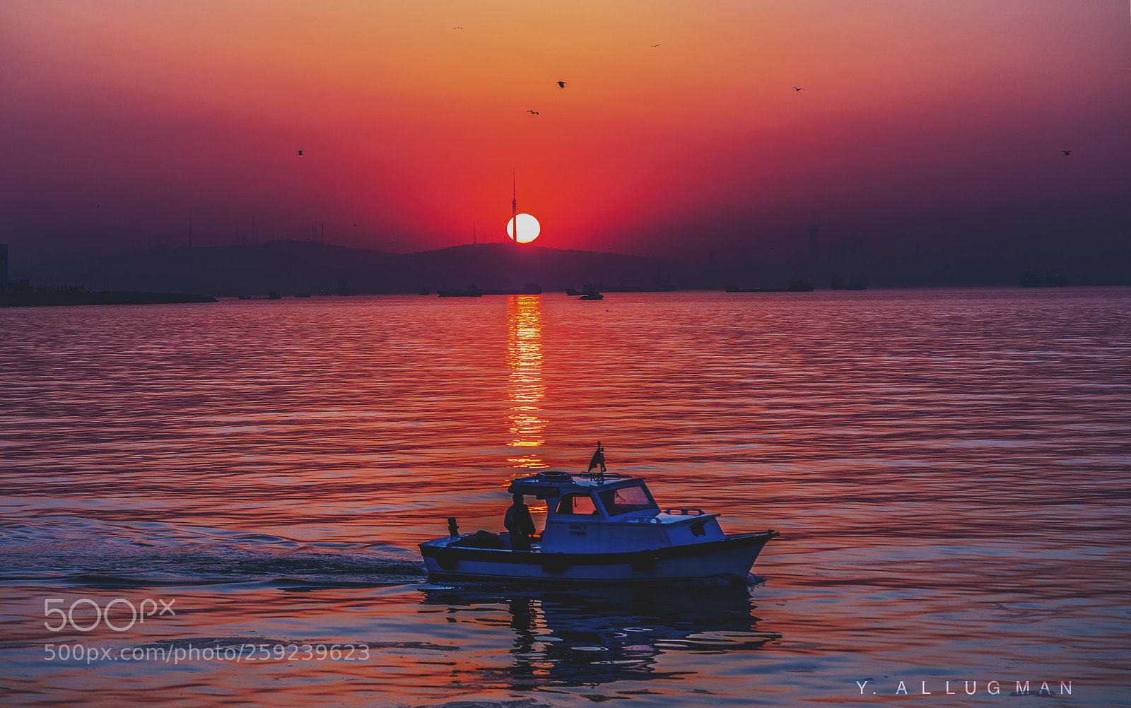 Canon EOS 5D Mark IV sample photo. Marmara port - istanbul photography
