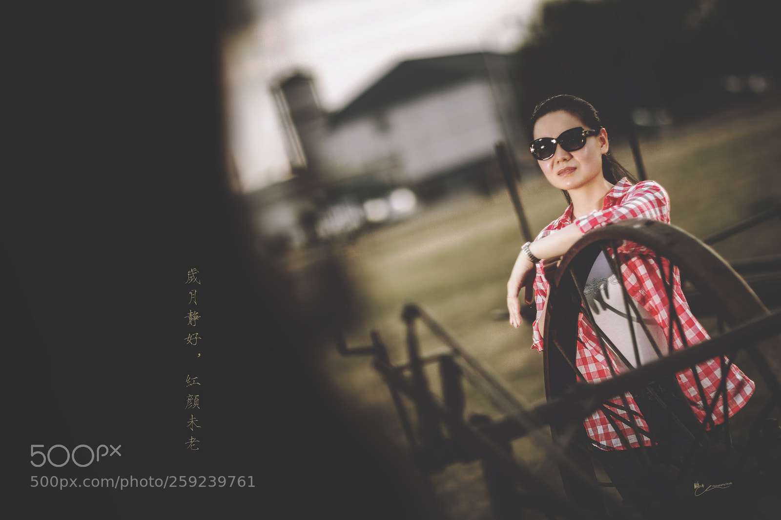 Canon EOS 5D Mark IV sample photo. 岁月静好 photography