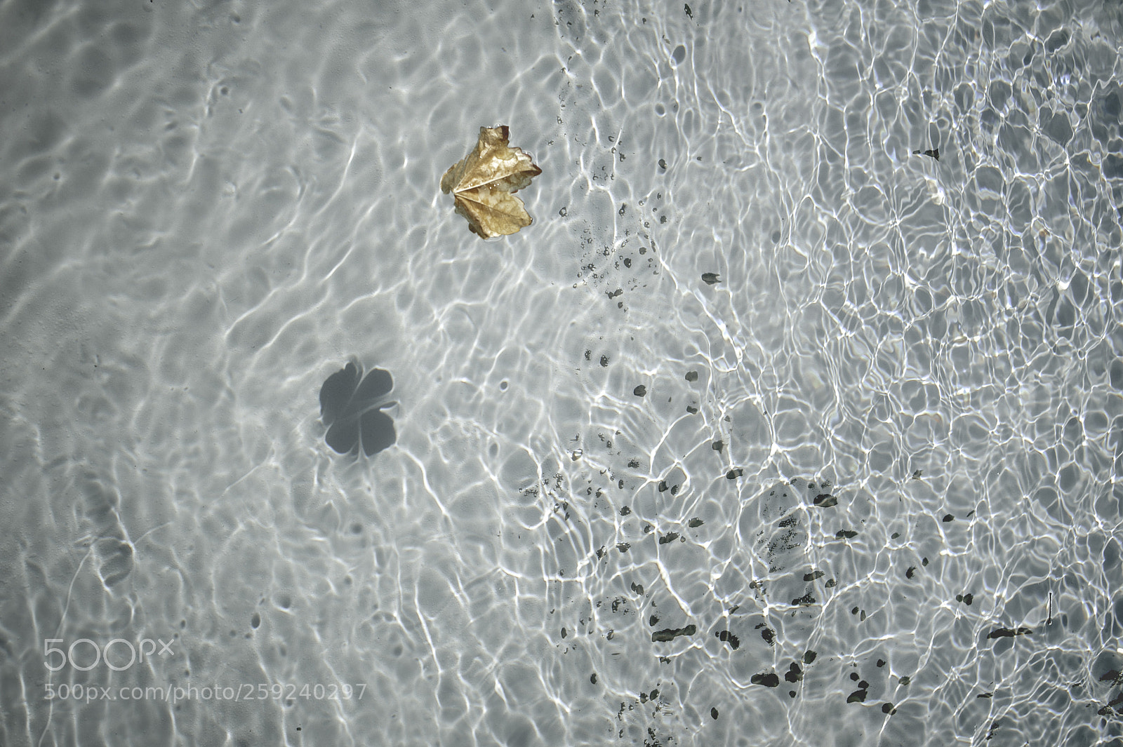 Nikon D700 sample photo. My mind drifts at photography