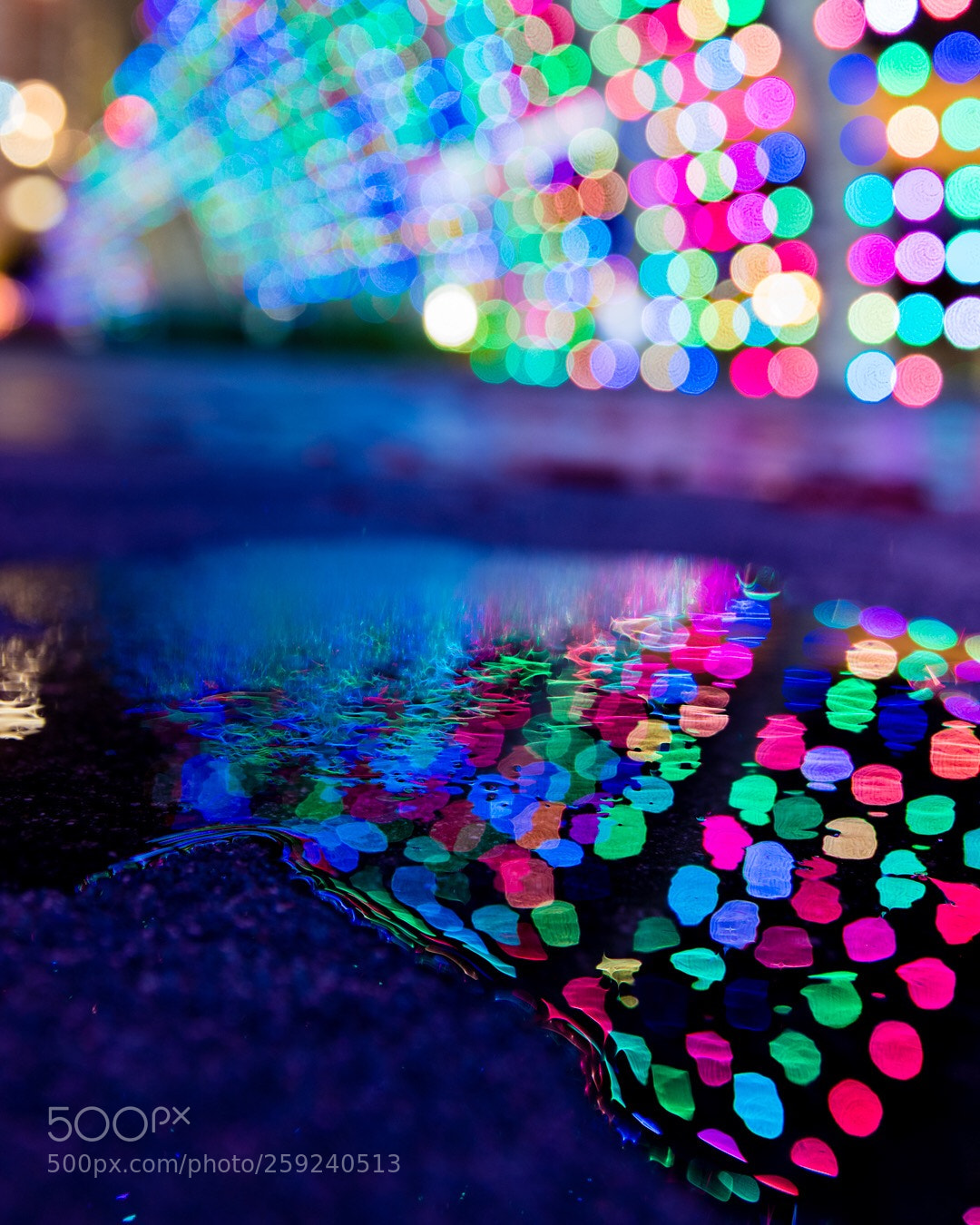 Canon EOS 80D sample photo. Reflective bokeh.  photography