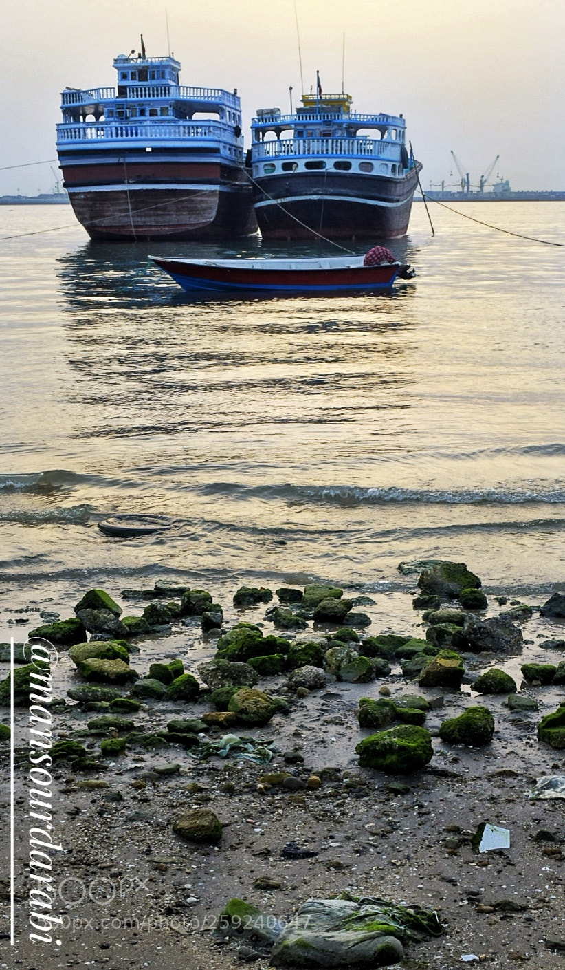 Nikon D5300 sample photo. Untitled photography