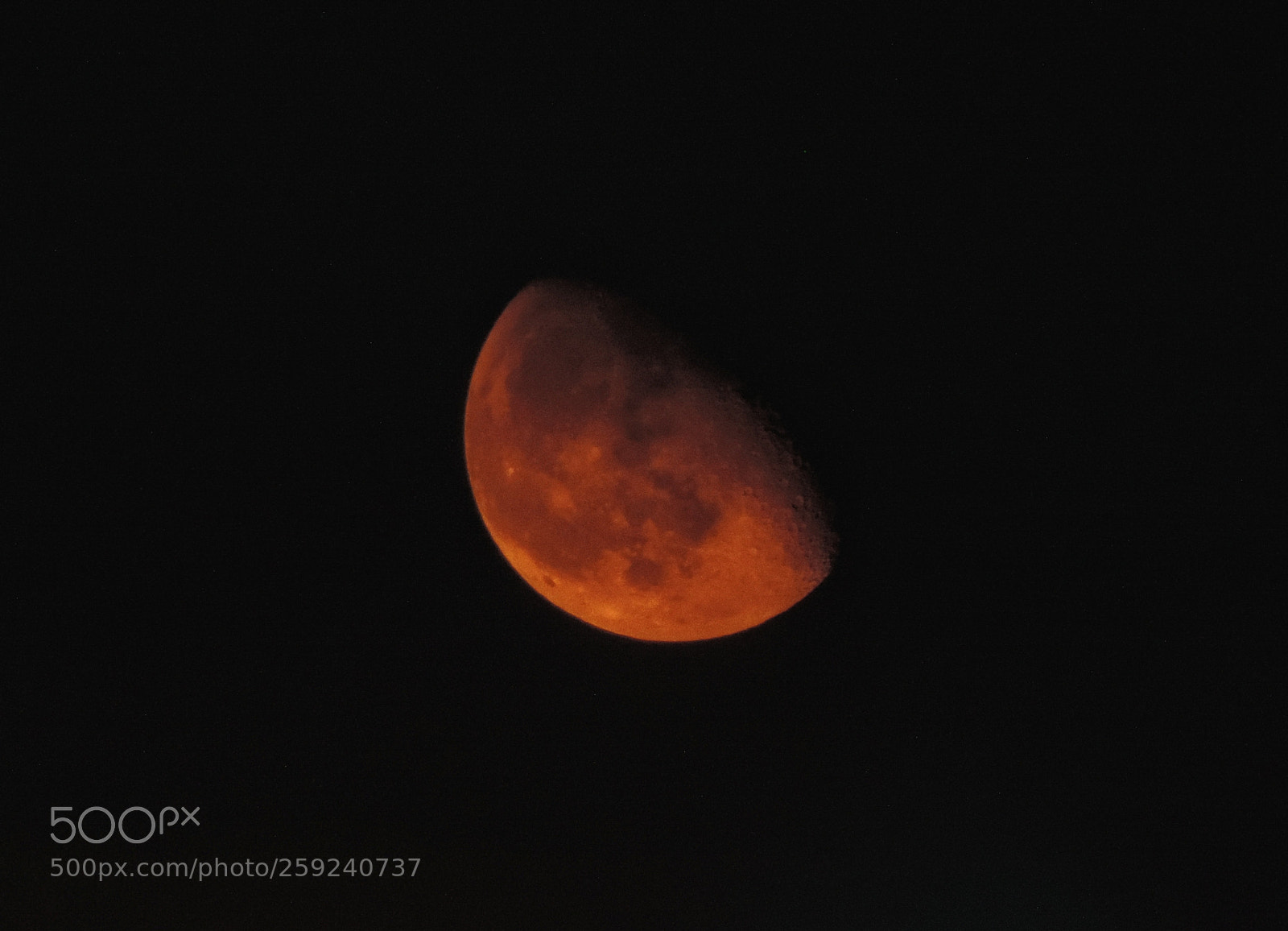 Nikon Coolpix P520 sample photo. Blood red moon photography