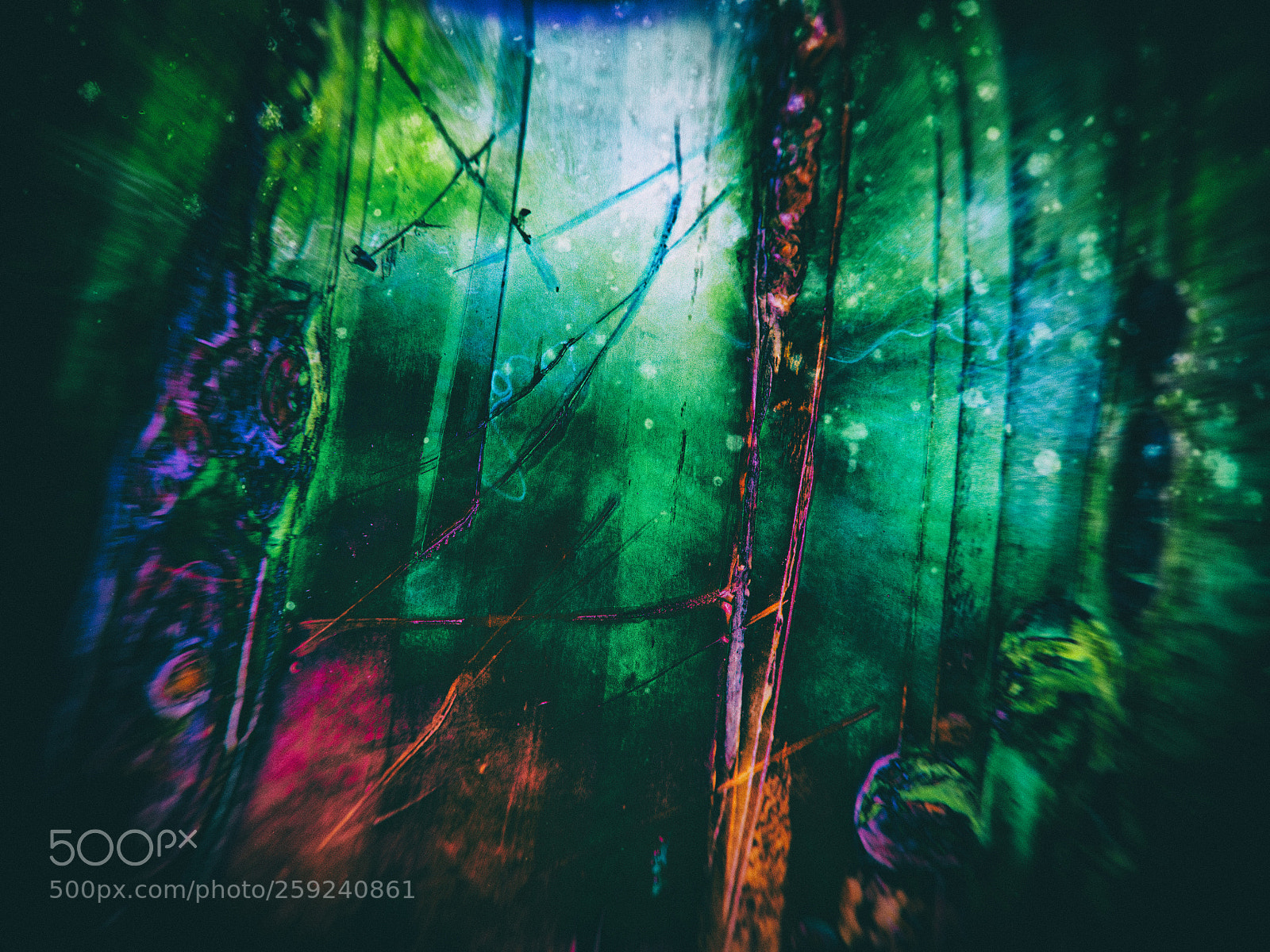 Olympus OM-D E-M5 II sample photo. Darkling woods photography