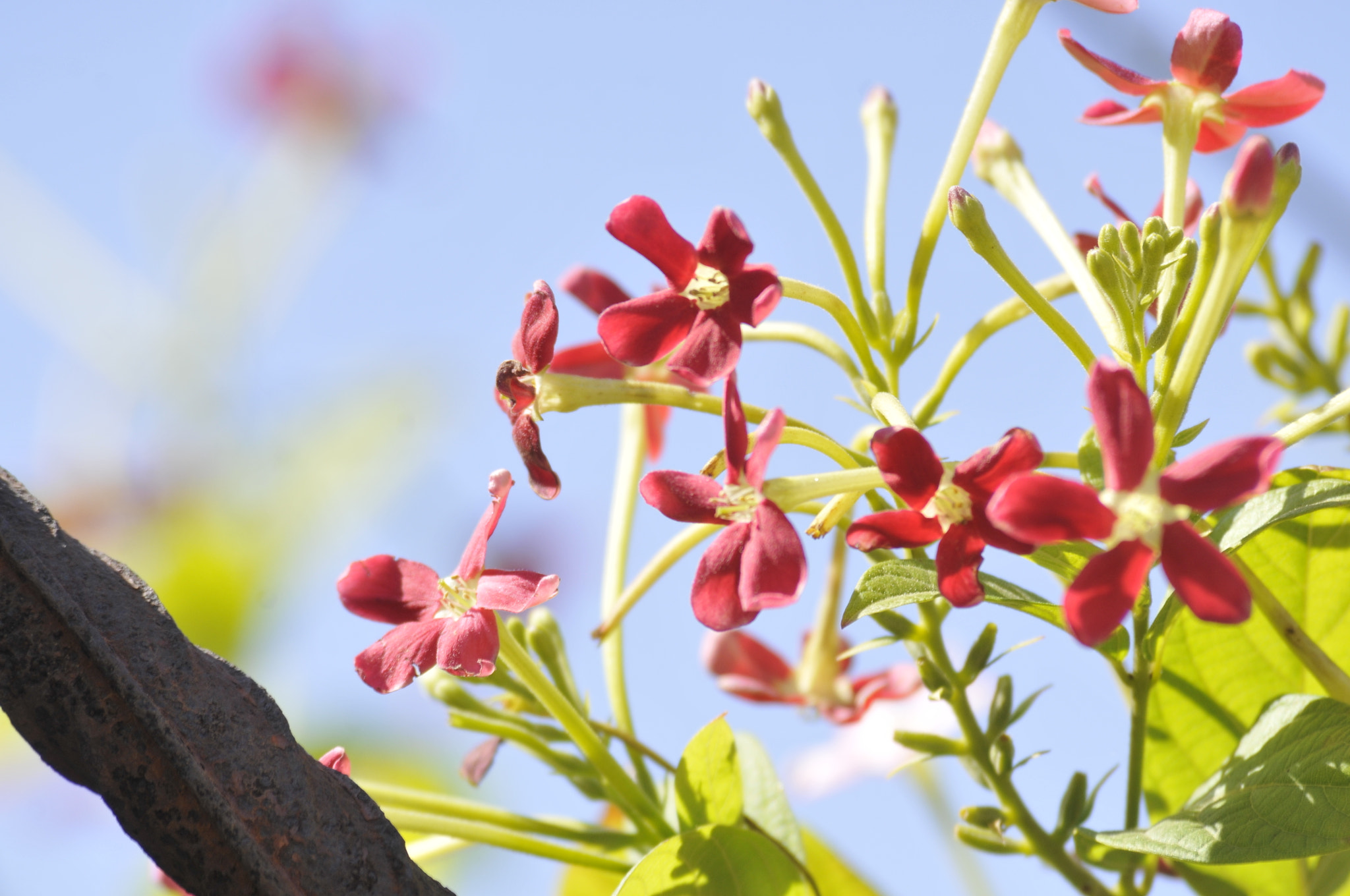 Nikon D300 sample photo