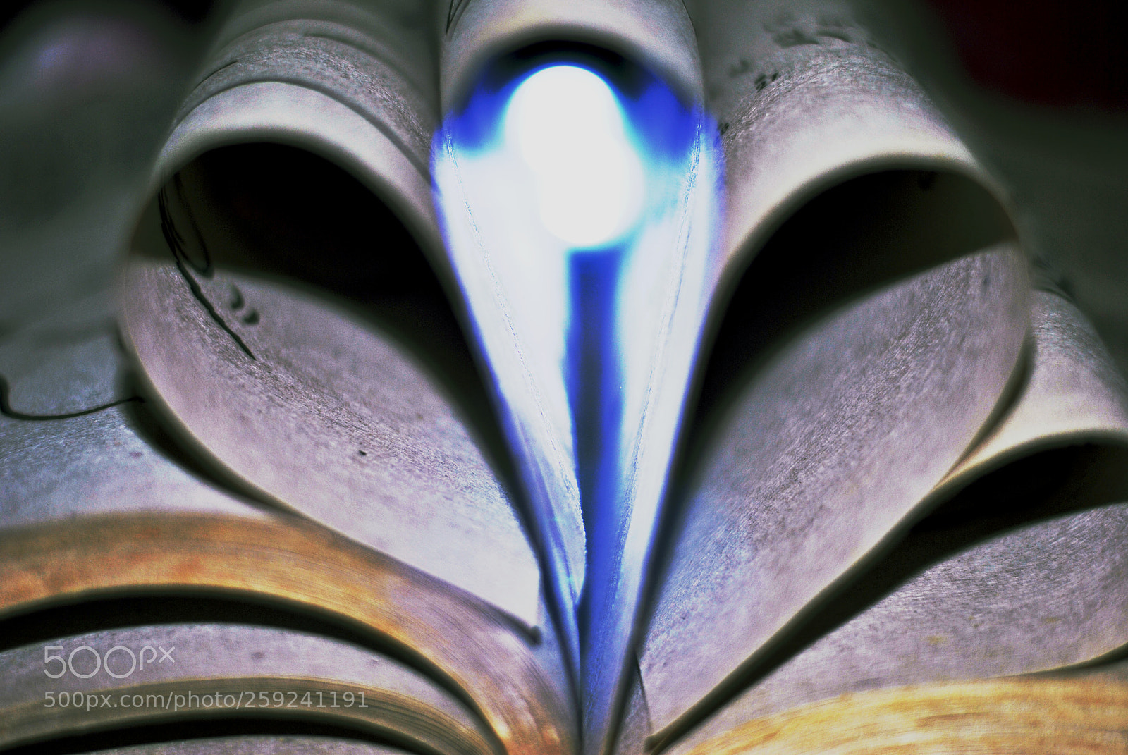 Nikon D3000 sample photo. Light.jpg photography