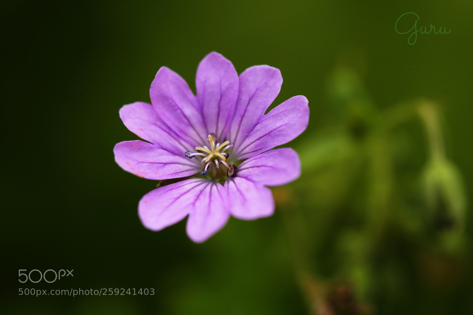 Canon EOS 6D sample photo. Untitled photography
