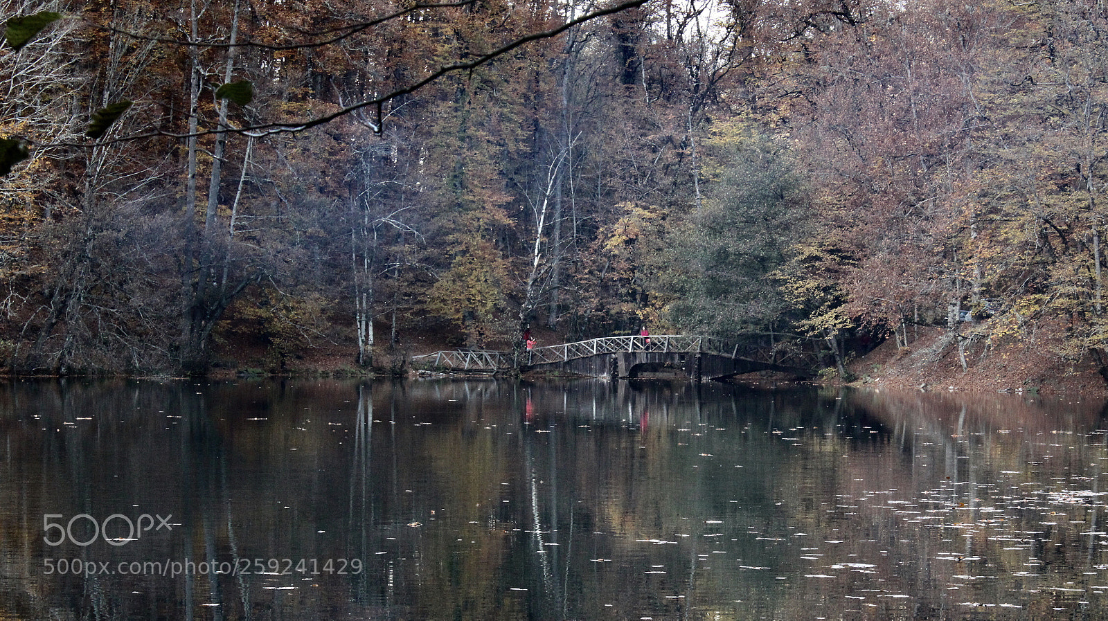 Canon EOS 700D (EOS Rebel T5i / EOS Kiss X7i) sample photo. A hazy day photography