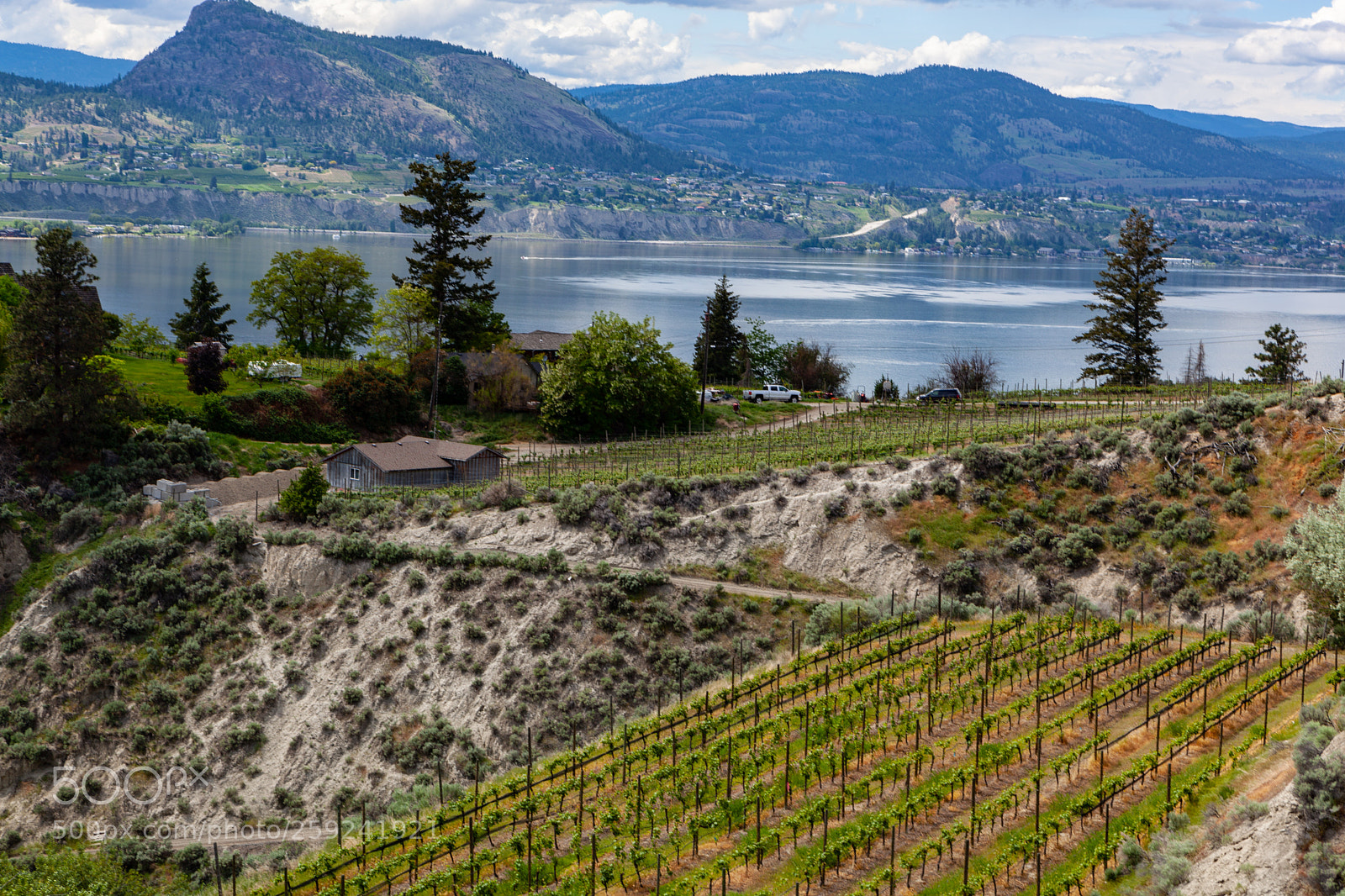 Canon EOS 5D Mark II sample photo. Wine country photography