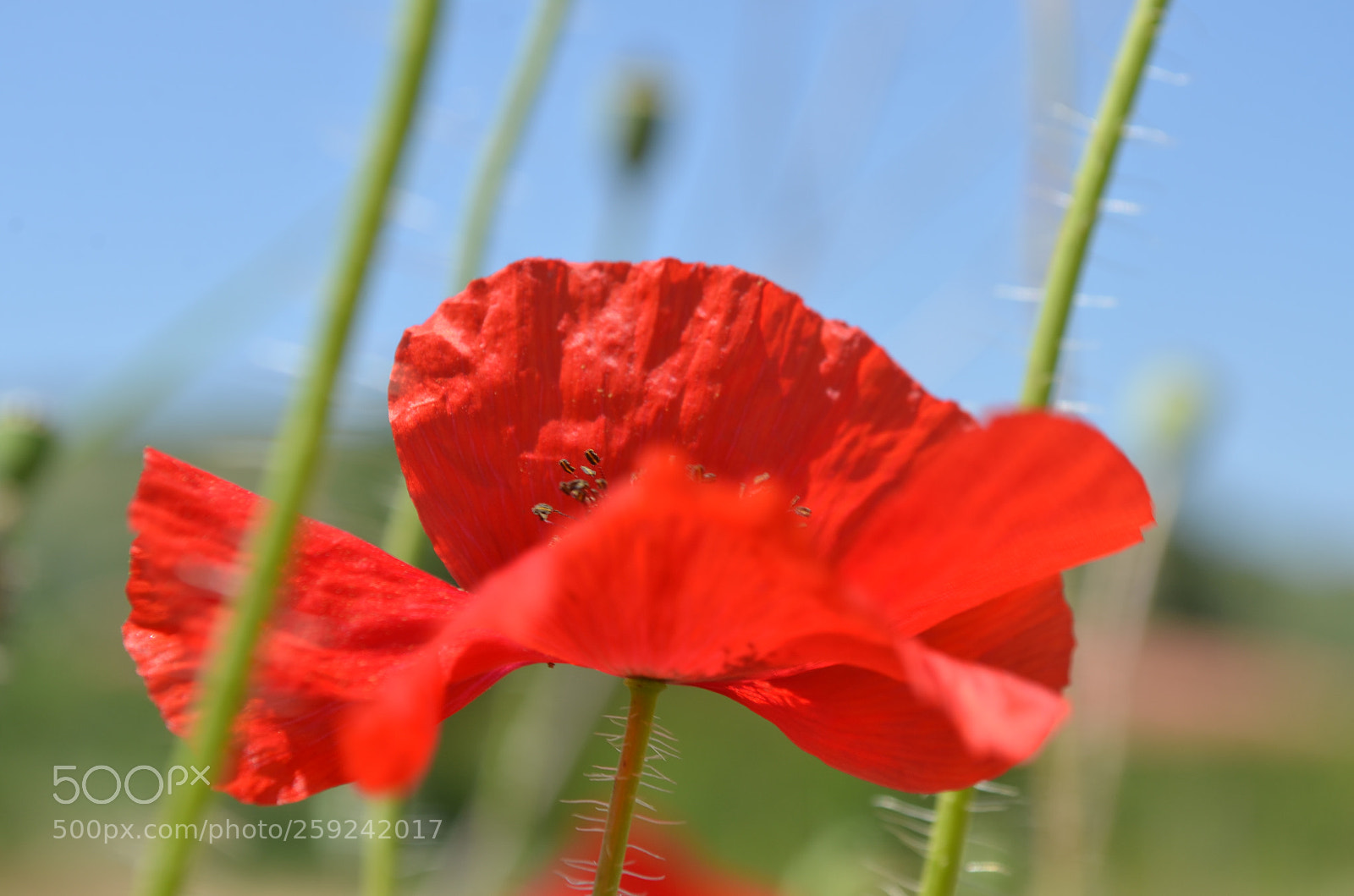 Nikon D5100 sample photo. In harmony with nature photography