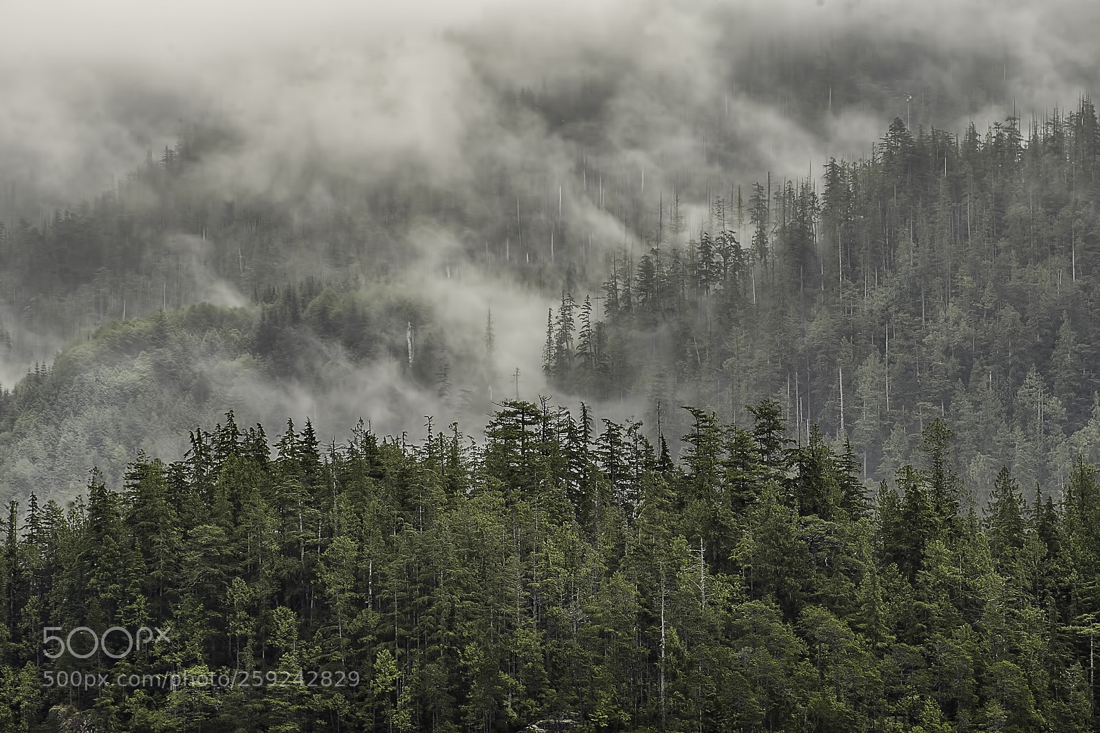 Sony a7R sample photo. Reveal 2 photography