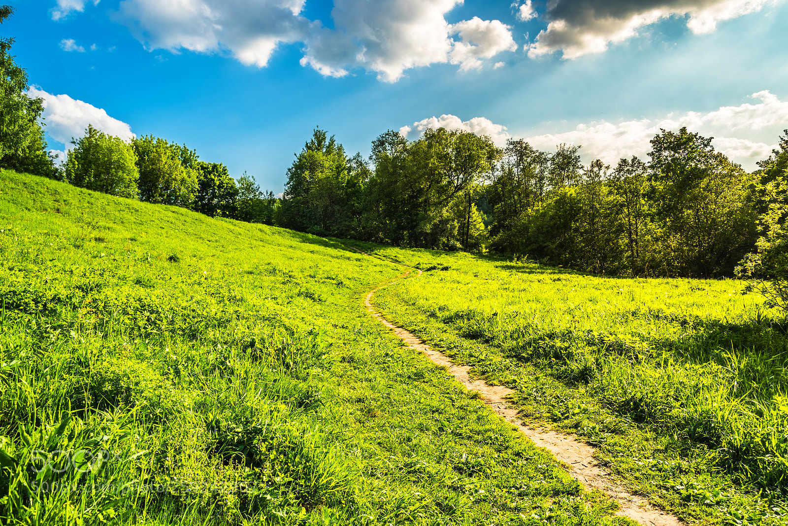 Nikon D750 sample photo. Classic rural landscape photography