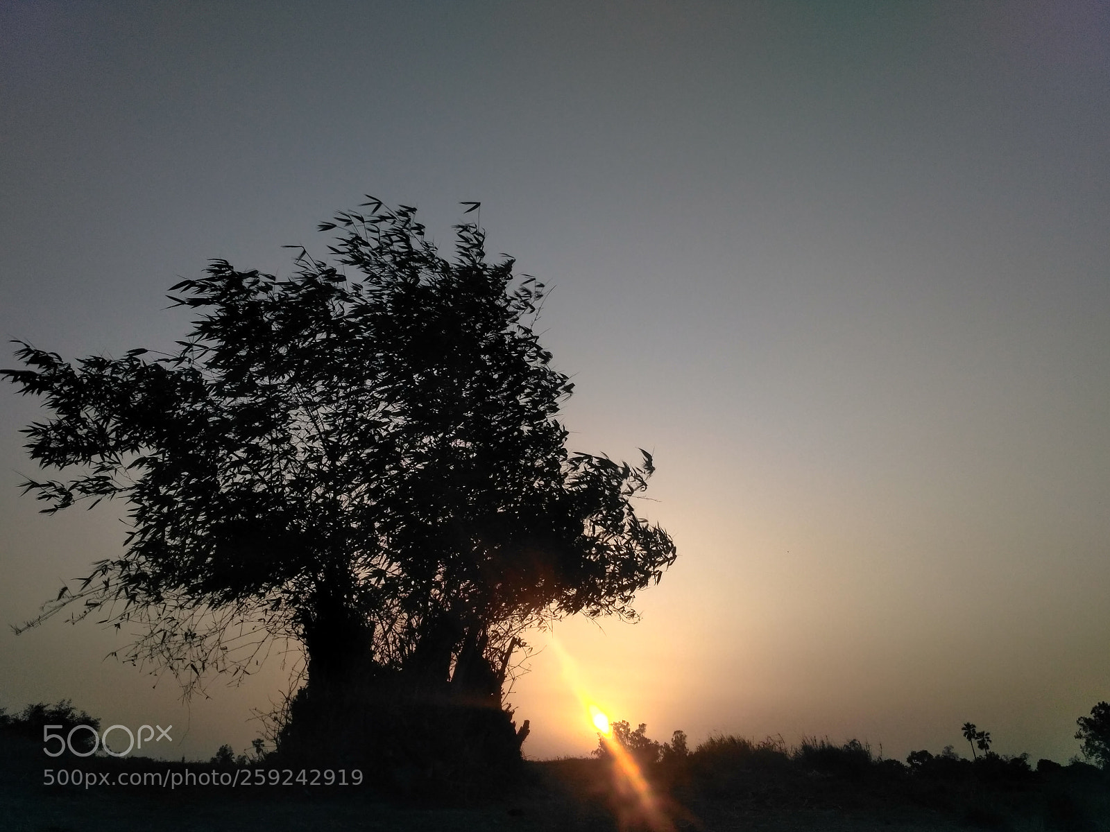 Xiaomi Redmi 3S sample photo. Hdr photography