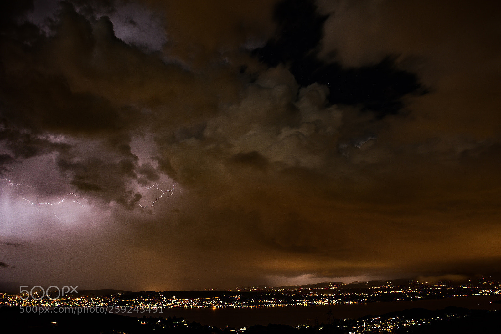 Nikon D610 sample photo. Up in the sky photography
