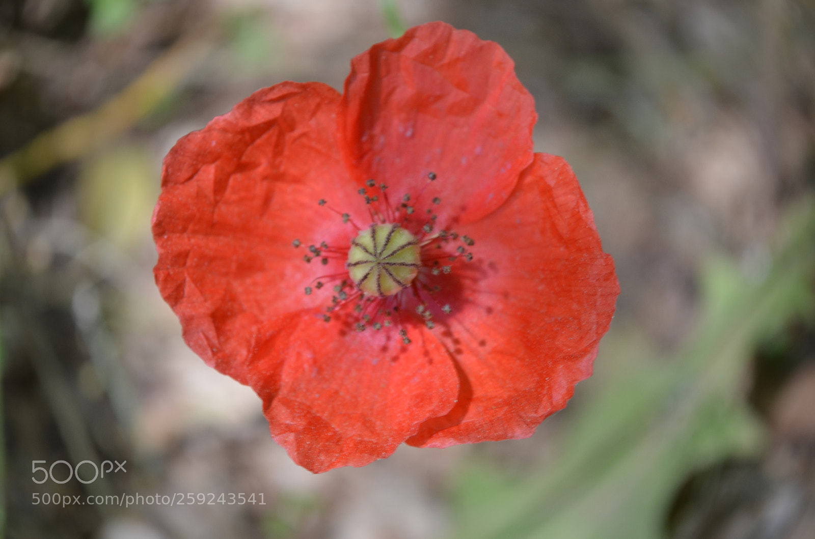 Nikon D5100 sample photo. So happy to see photography