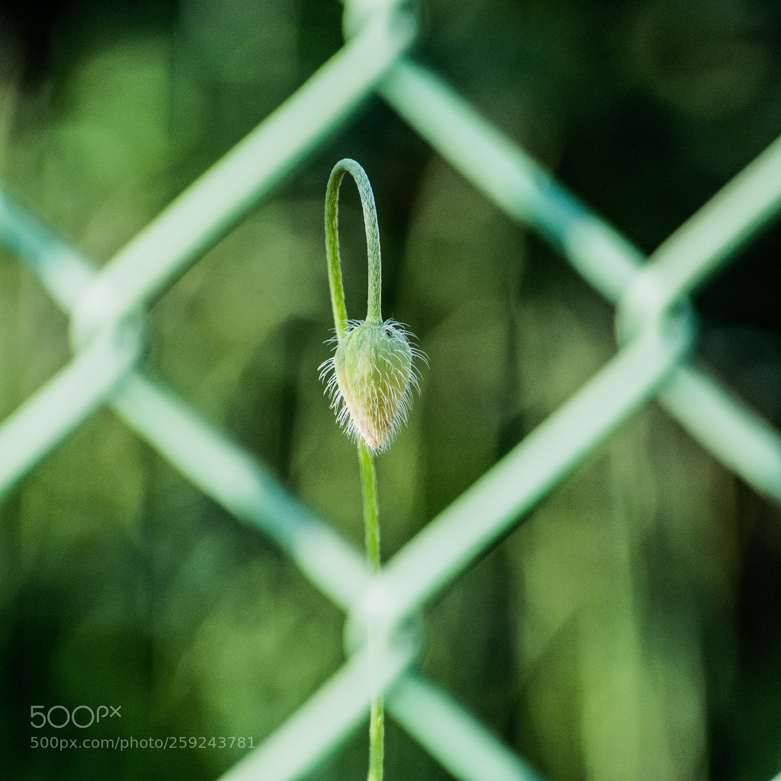 Nikon D7100 sample photo. Geometry 24.5.2018 photography