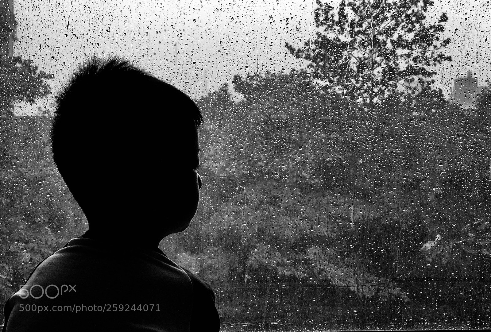 Apple iPhone 7 Plus sample photo. Rain photography