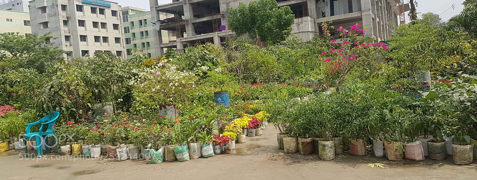 Samsung Galaxy S7 Edge sample photo. Colourful nature photography