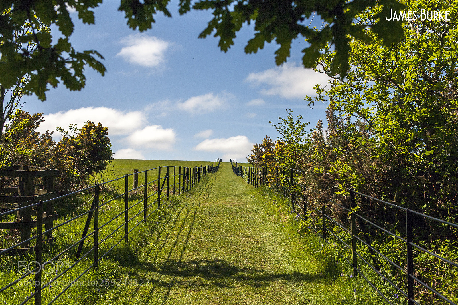 Canon EOS 5D sample photo. Green lane photography