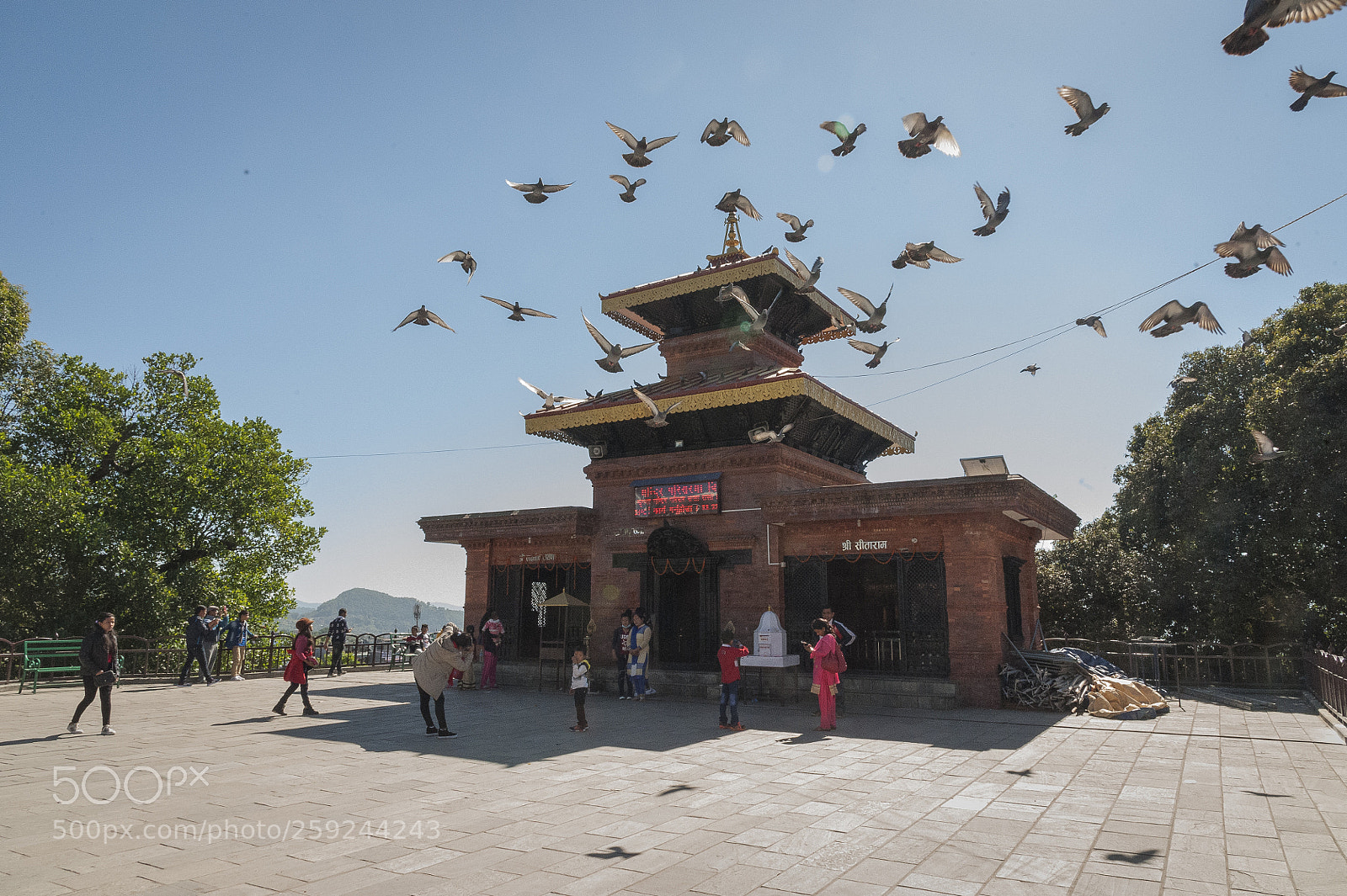 Nikon D700 sample photo. Kathmandupokharasoft photography