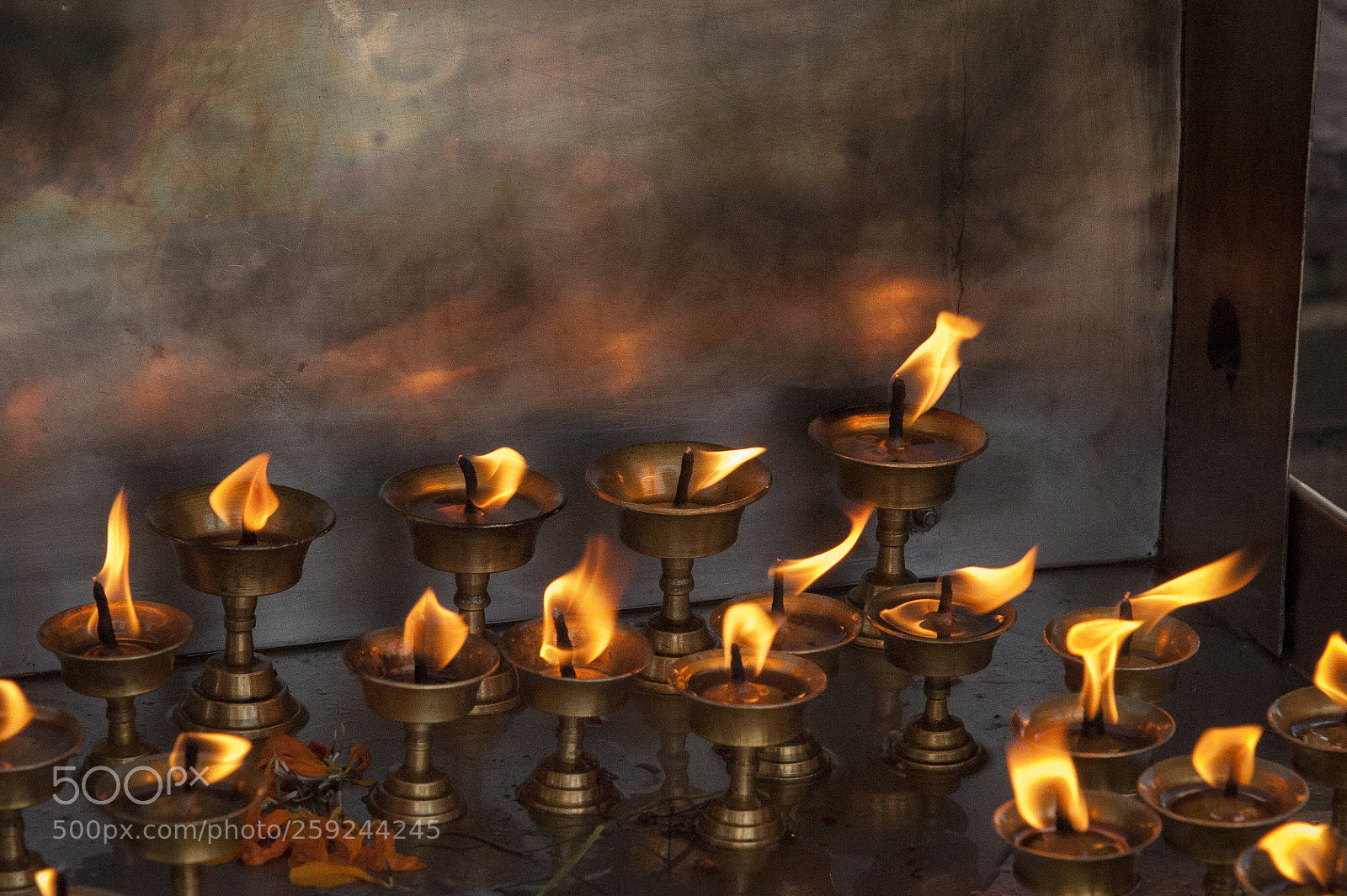 Nikon D700 sample photo. Kathmandupokharasoft photography