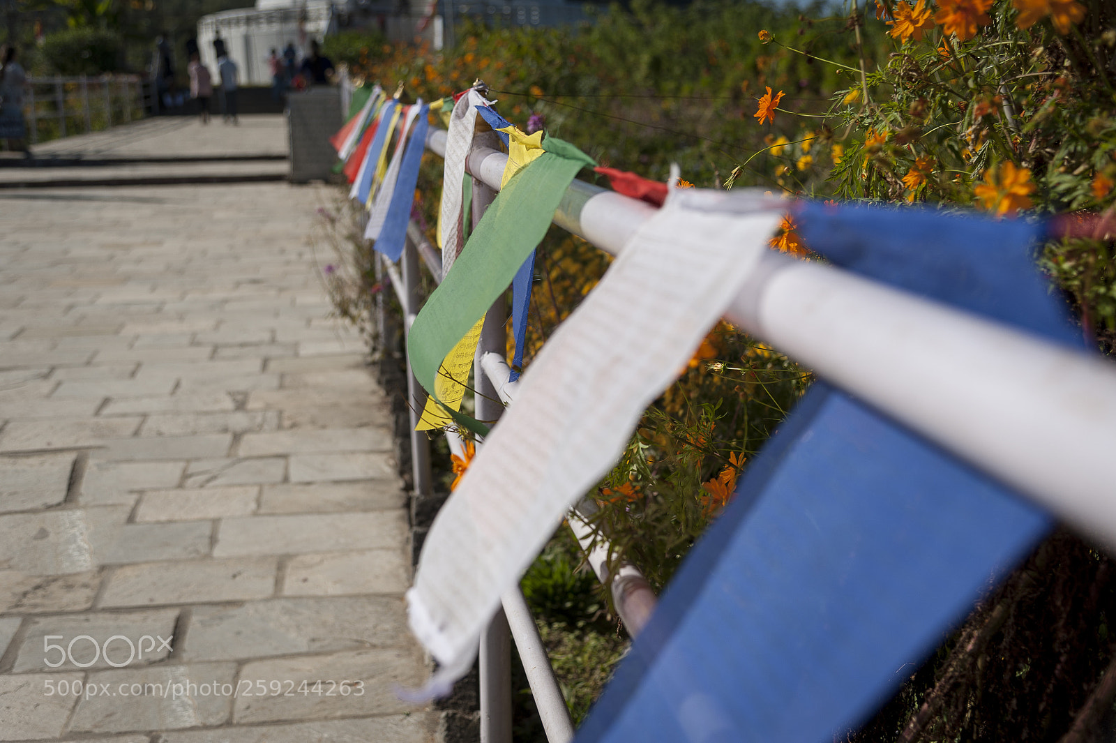 Nikon D700 sample photo. Kathmandupokharasoft photography