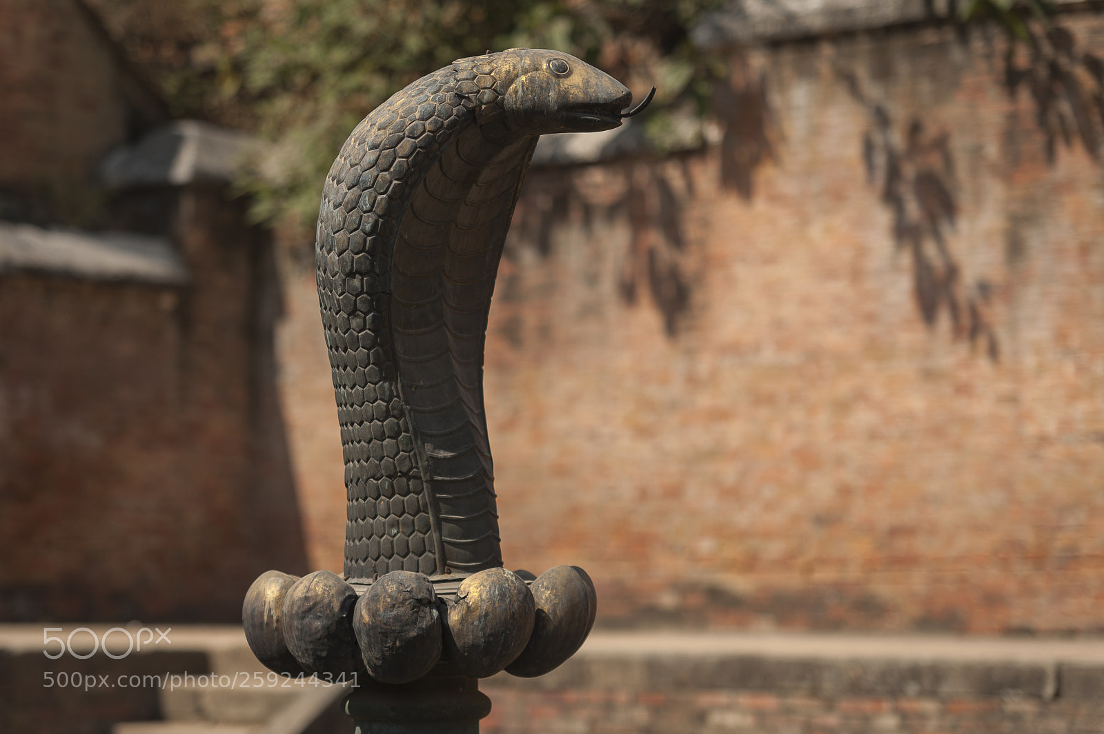 Nikon D700 sample photo. Kathmandupokharasoft photography