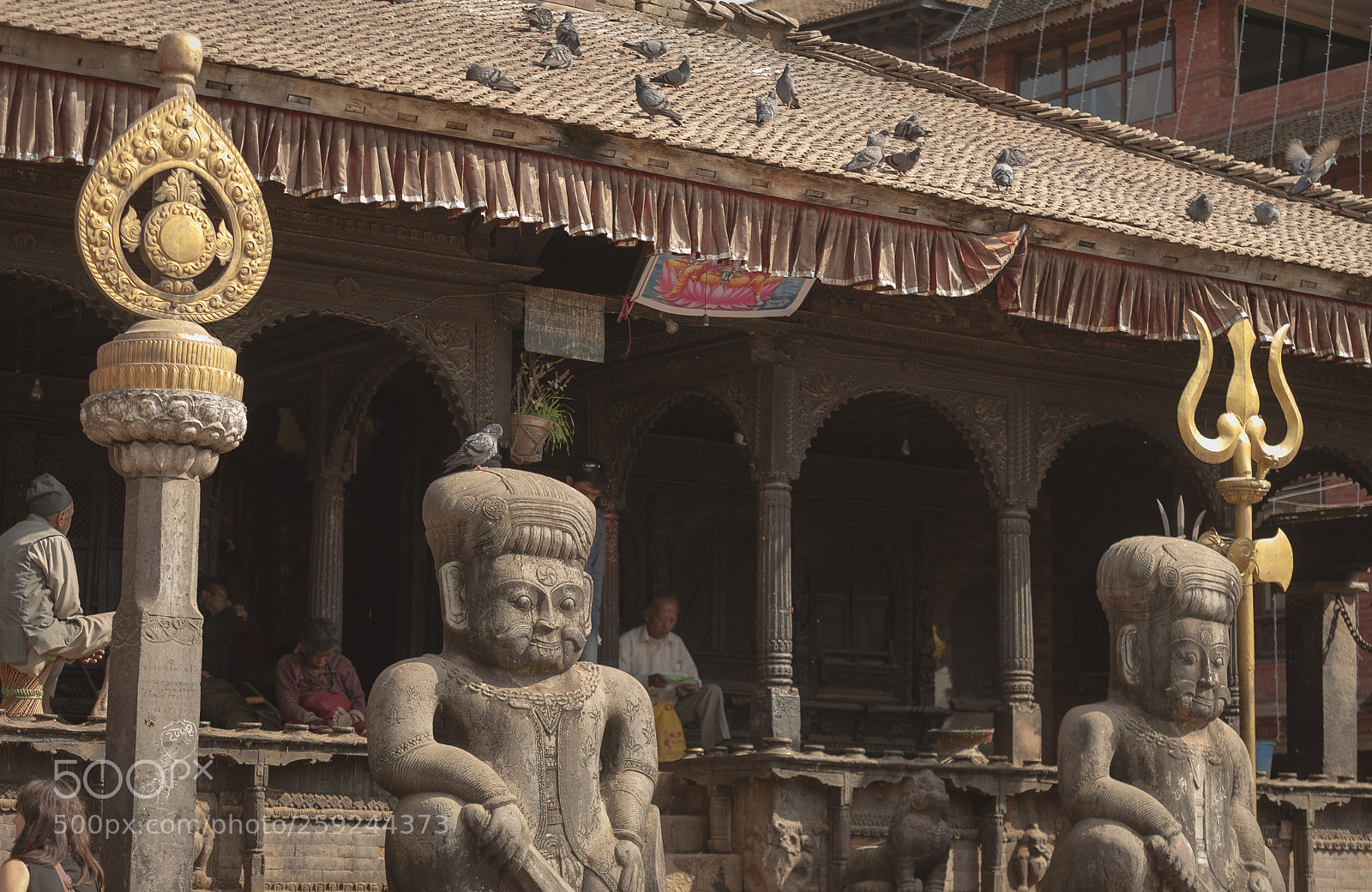 Nikon D700 sample photo. Kathmandupokharasoft photography