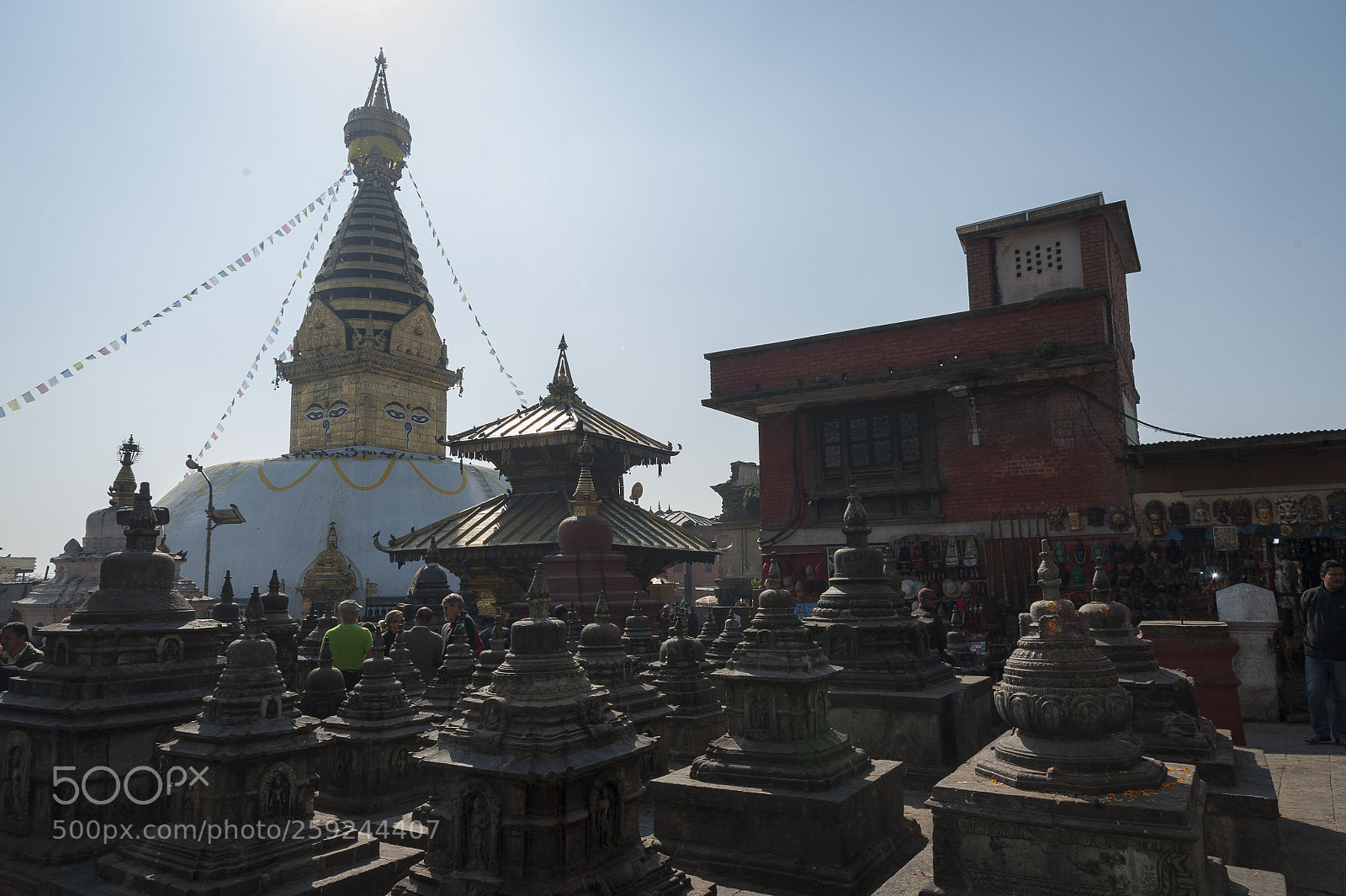 Nikon D700 sample photo. Kathmandupokharasoft photography