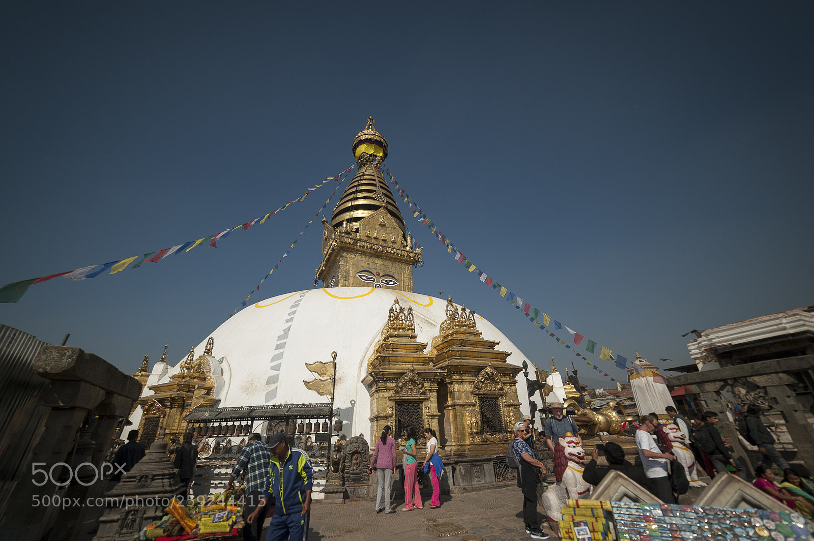 Nikon D700 sample photo. Kathmandupokharasoft photography