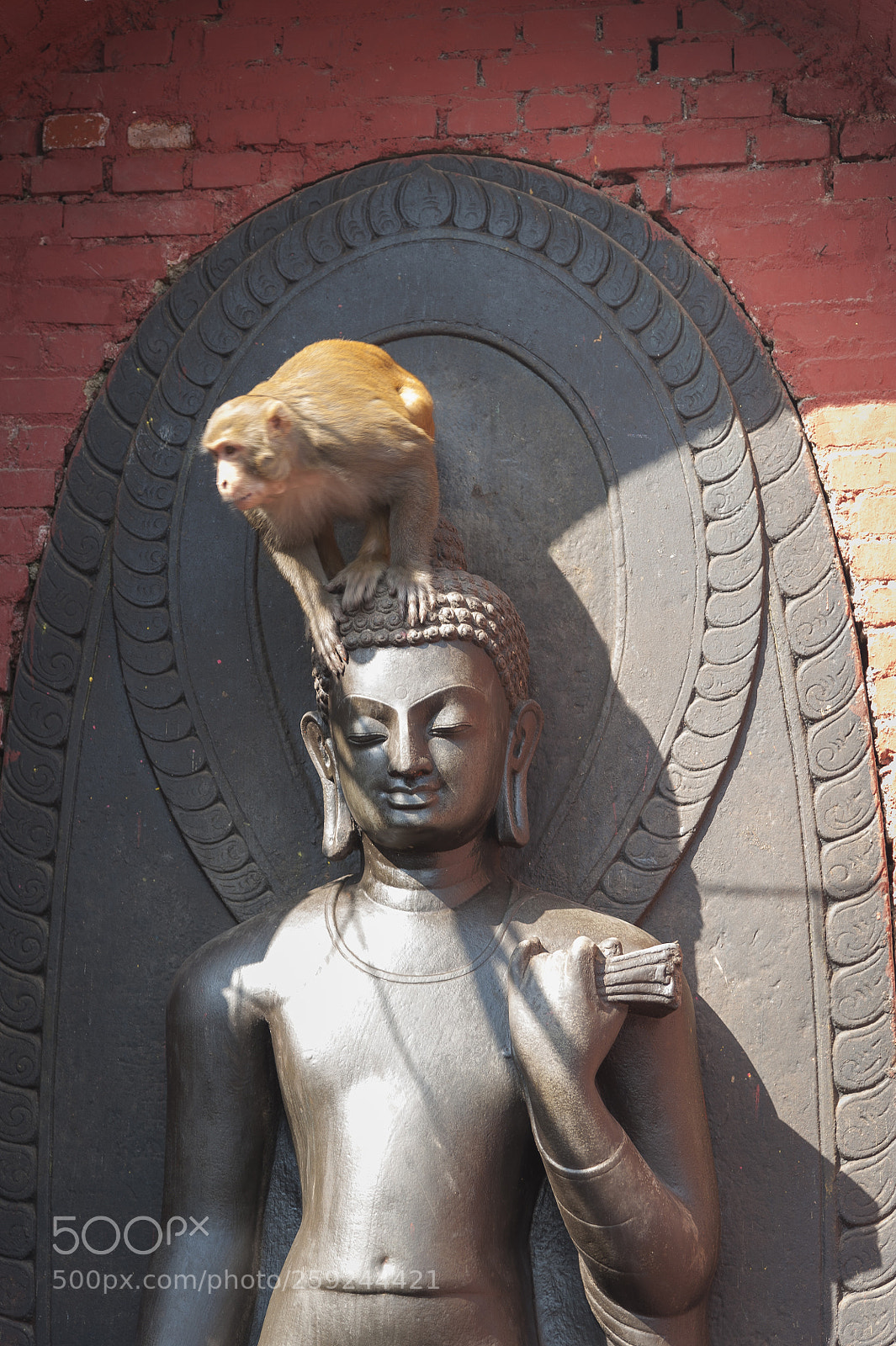 Nikon D700 sample photo. Kathmandupokharasoft photography