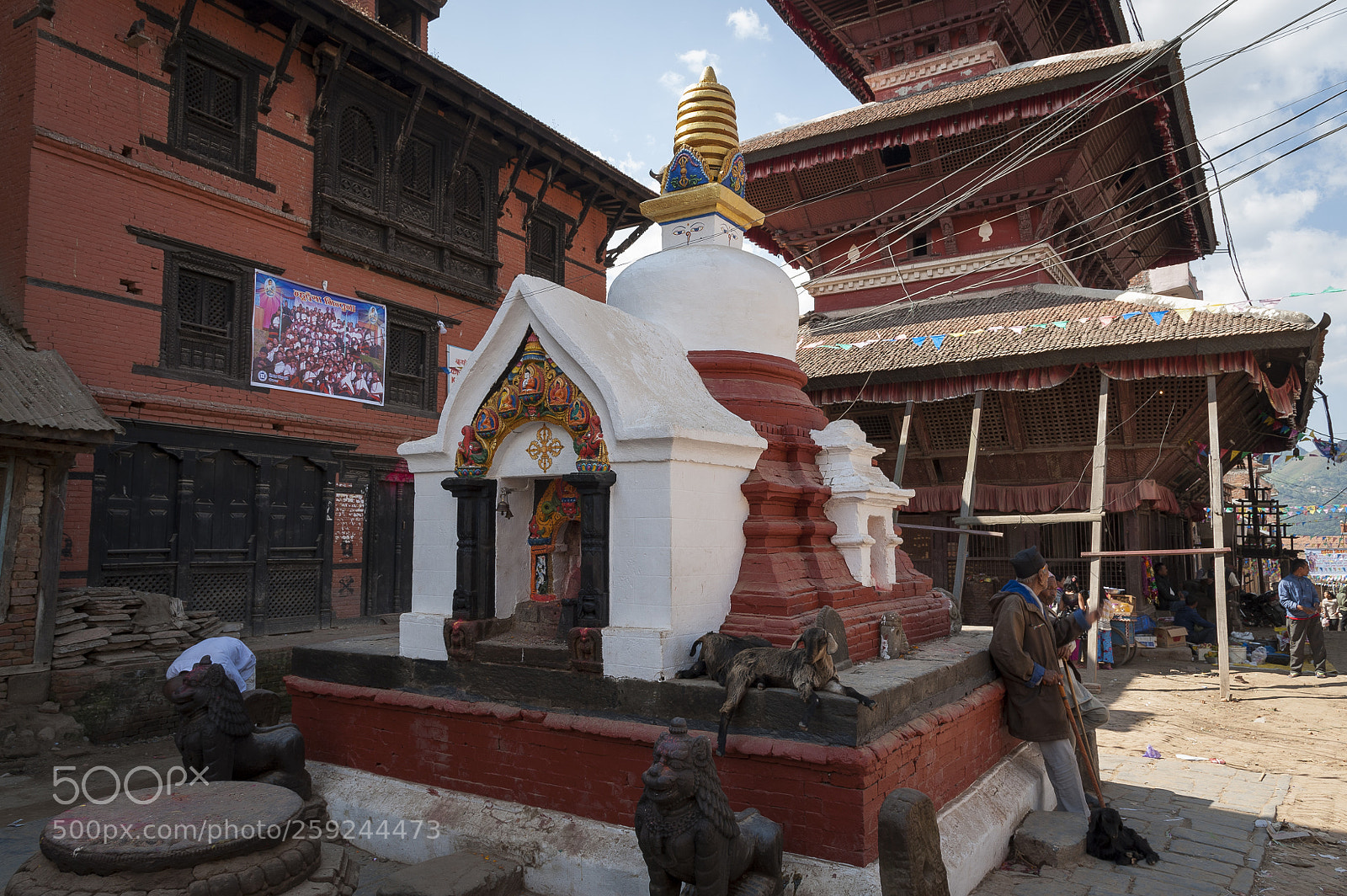 Nikon D700 sample photo. Kathmandupokharasoft photography