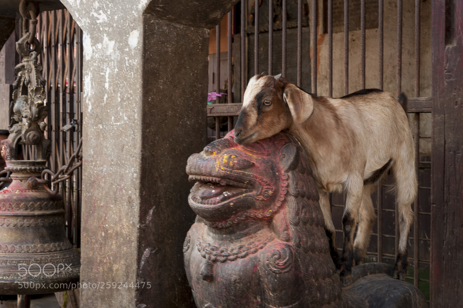 Nikon D700 sample photo. Kathmandupokharasoft photography