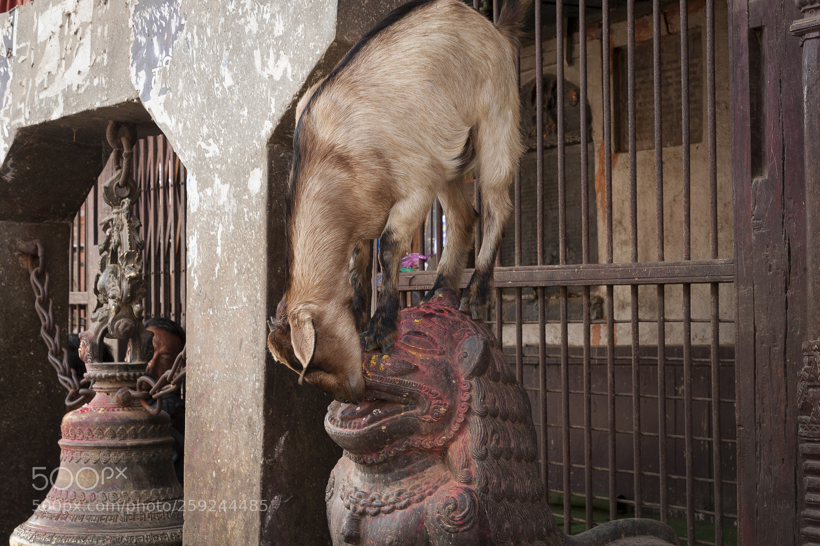 Nikon D700 sample photo. Kathmandupokharasoft photography