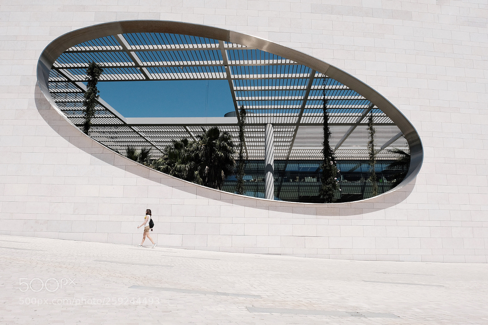 Fujifilm X-Pro2 sample photo. Elliptical  photography