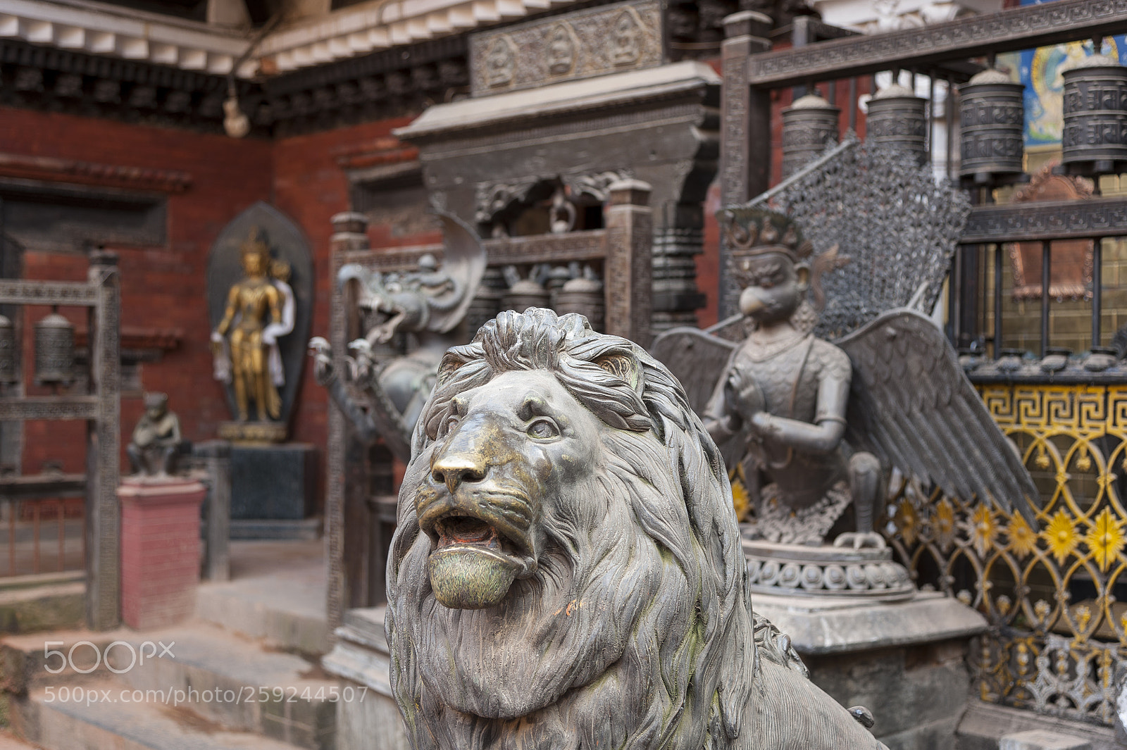 Nikon D700 sample photo. Kathmandupokharasoft photography