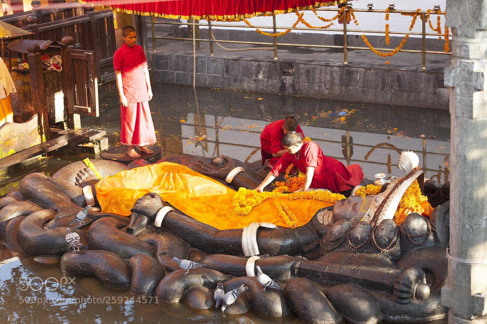 Nikon D700 sample photo. Kathmandupokharasoft photography
