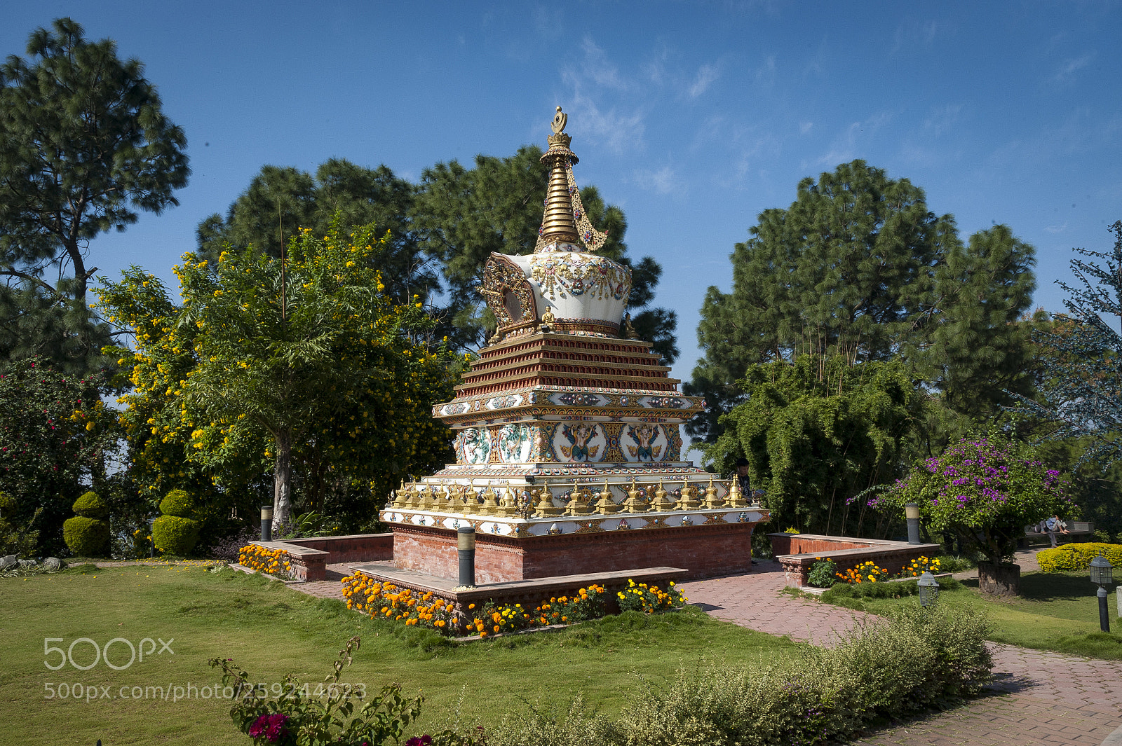 Nikon D700 sample photo. Kathmandupokharasoft photography