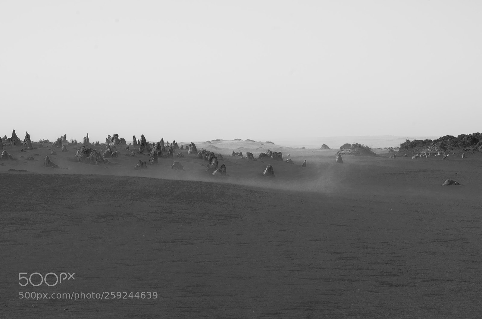 Pentax K-30 sample photo. Like a different planet photography