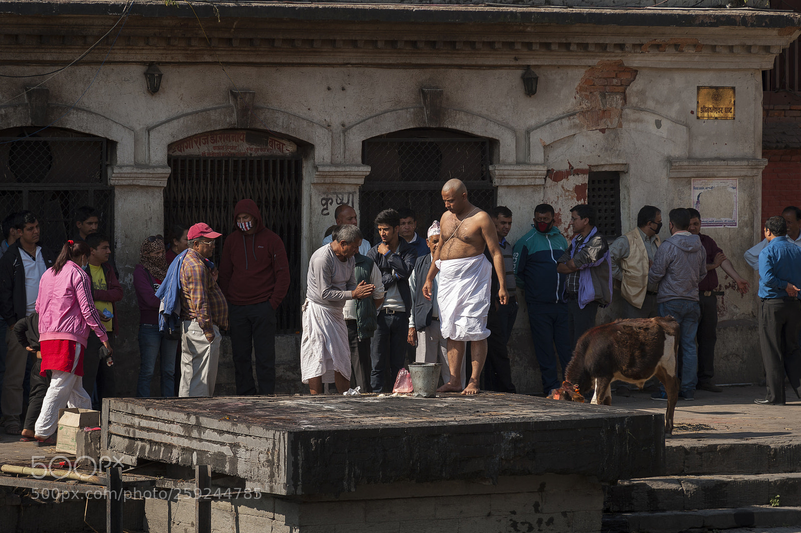 Nikon D700 sample photo. Kathmandupokharasoft photography