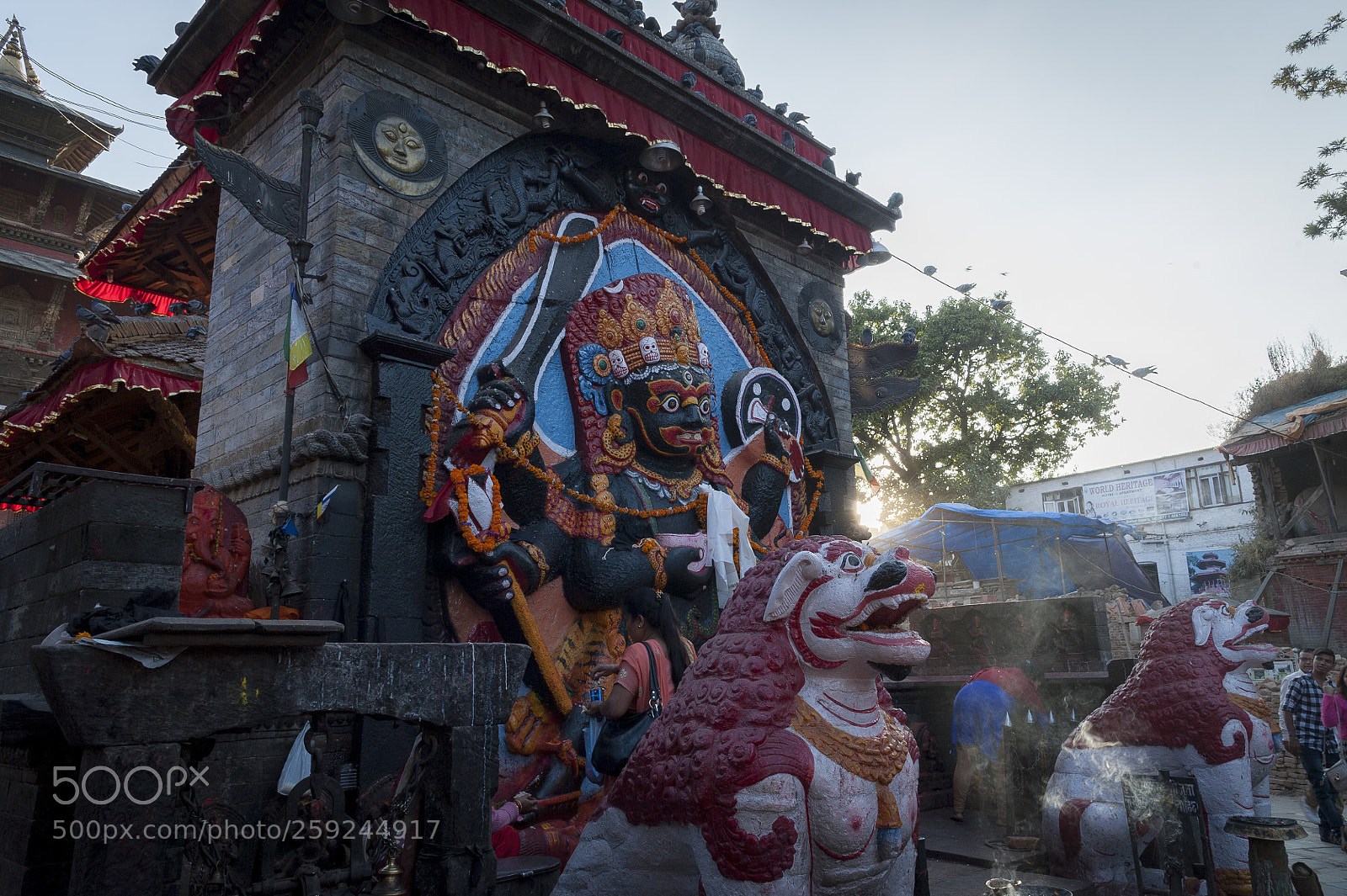 Nikon D700 sample photo. Kathmandupokharasoft photography