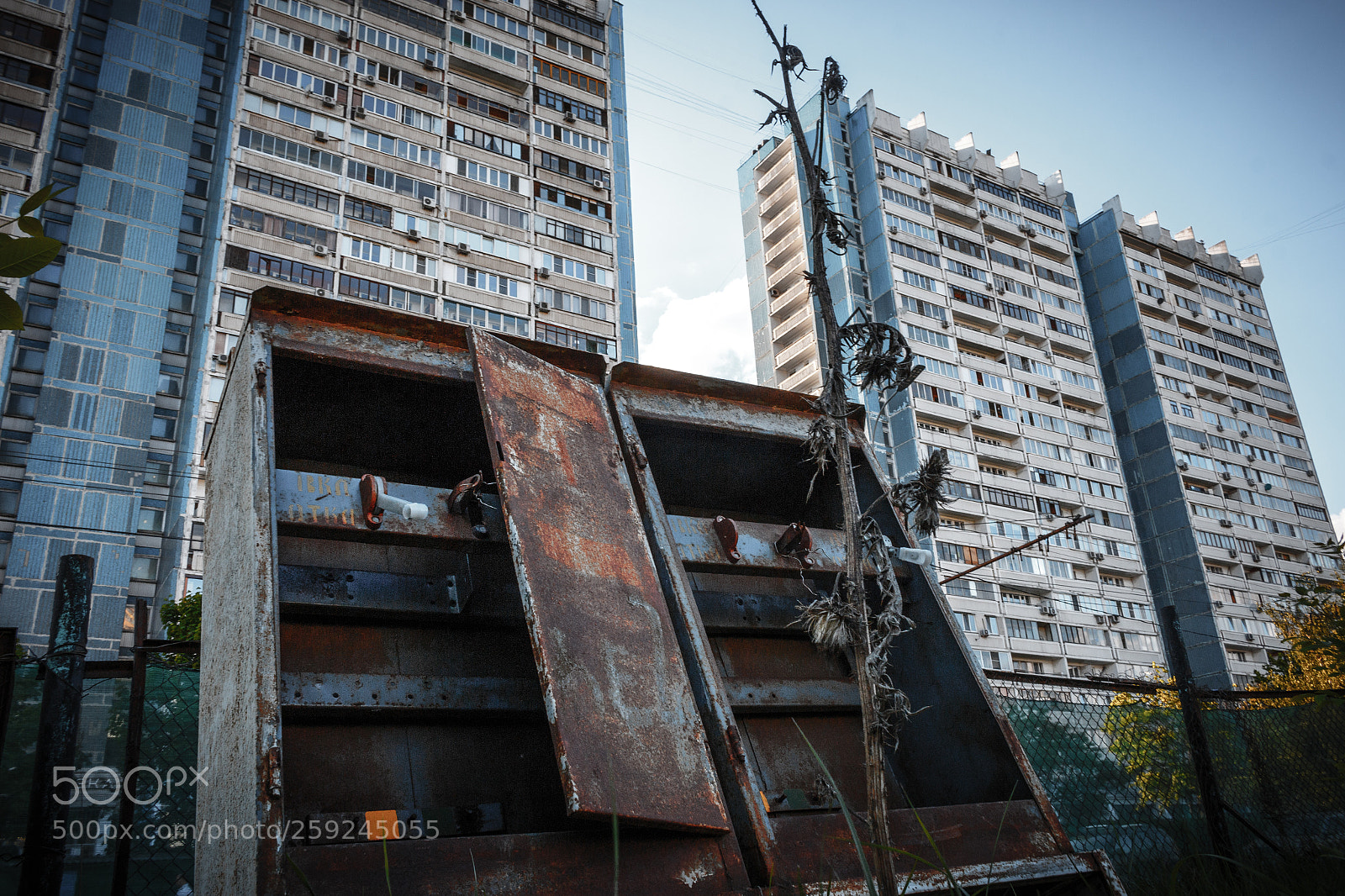 Canon EOS 70D sample photo. Img photography