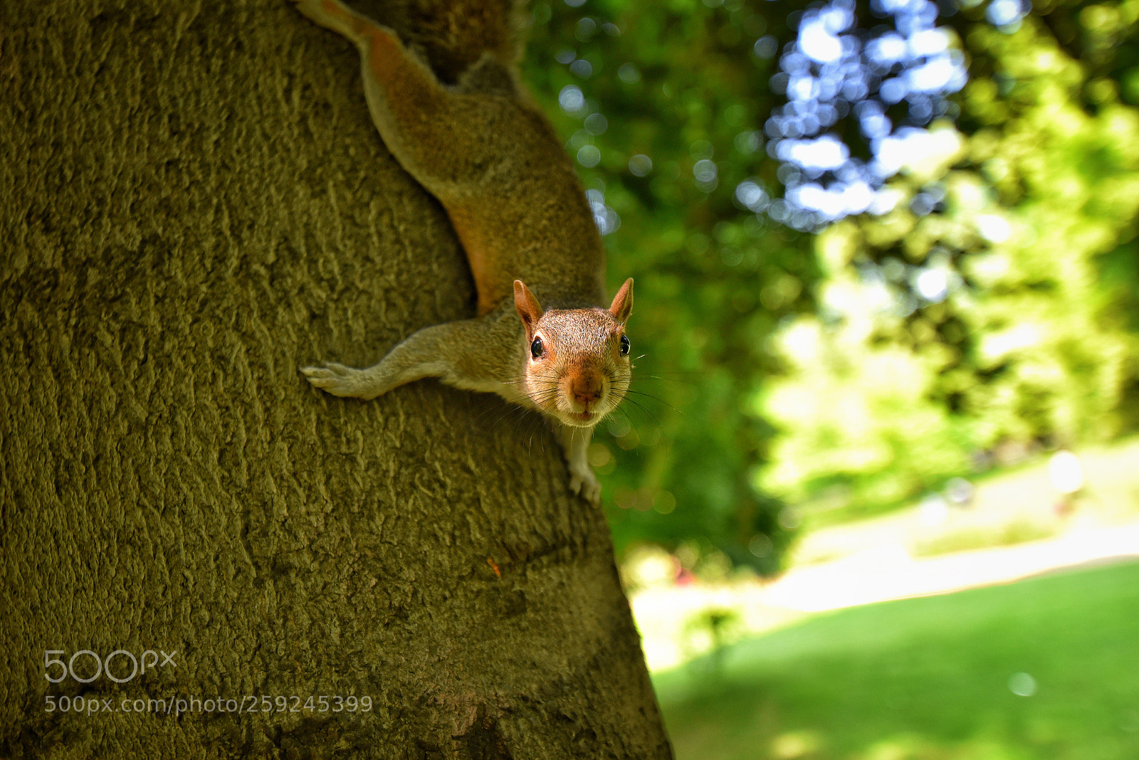 Nikon D750 sample photo. Untitled photography