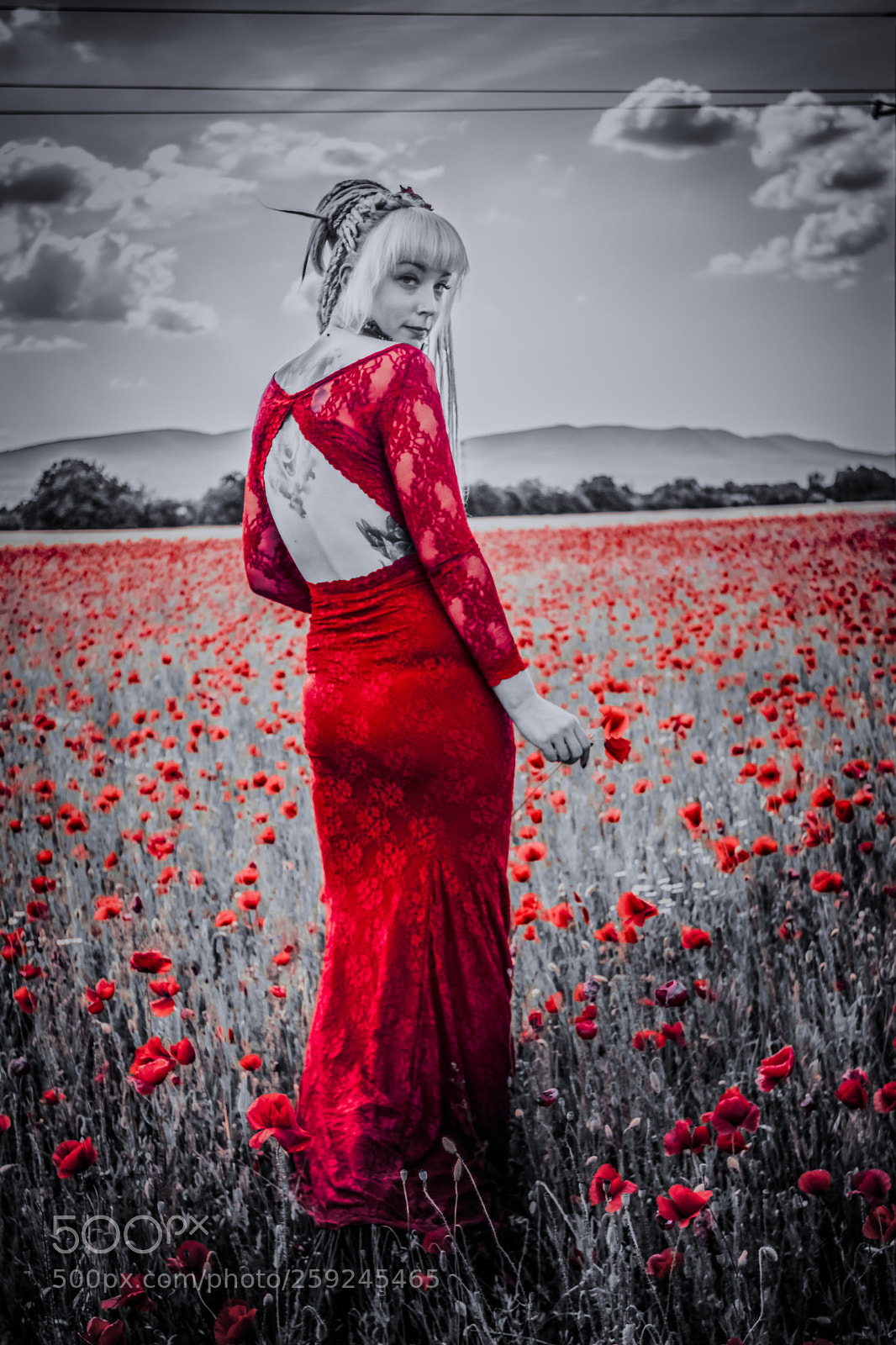 Canon EOS 80D sample photo. Victoria photography