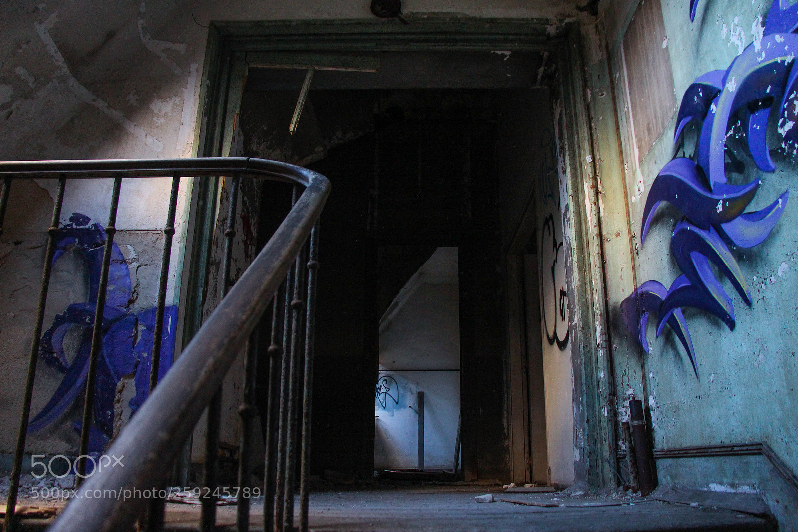 Canon EOS 700D (EOS Rebel T5i / EOS Kiss X7i) sample photo. Sanatorium, chantilly, janvier 2018 photography