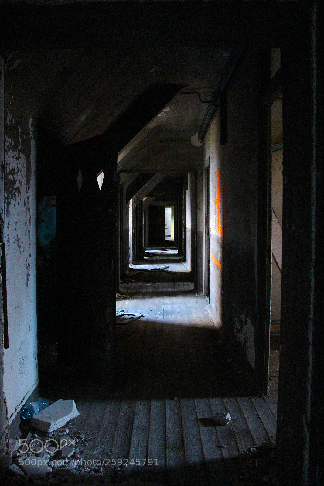 Canon EOS 700D (EOS Rebel T5i / EOS Kiss X7i) sample photo. Sanatorium, chantilly, janvier 2018 photography