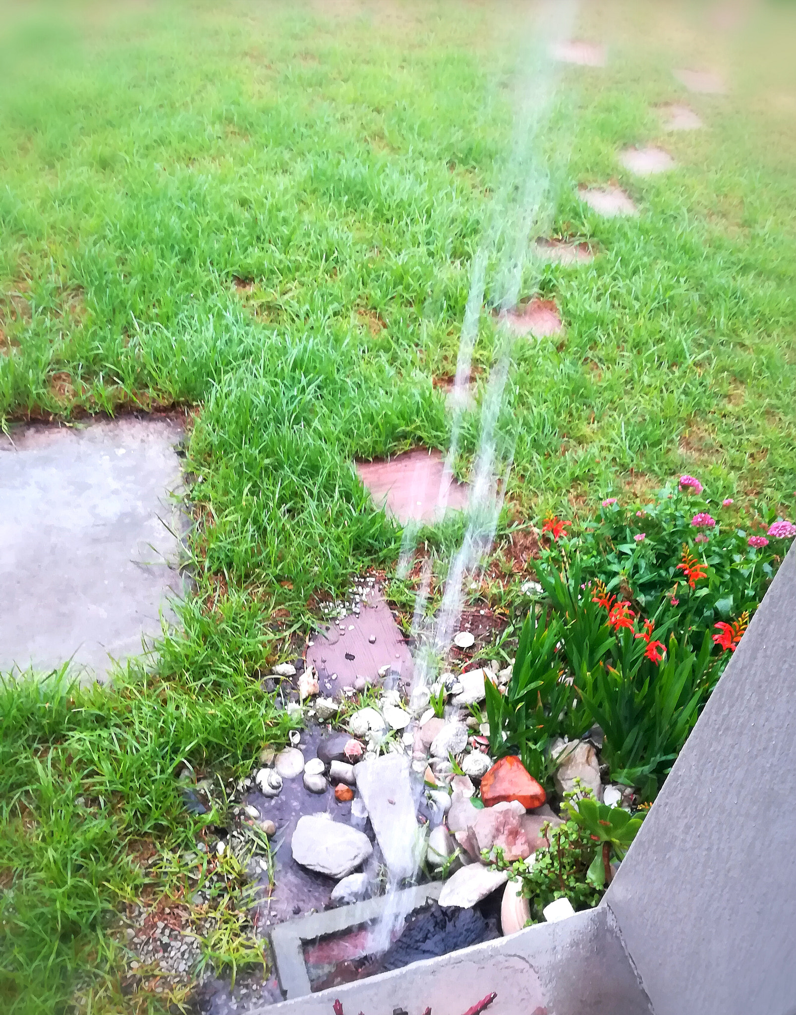 HUAWEI PRA-LX1 sample photo. Rainy photography