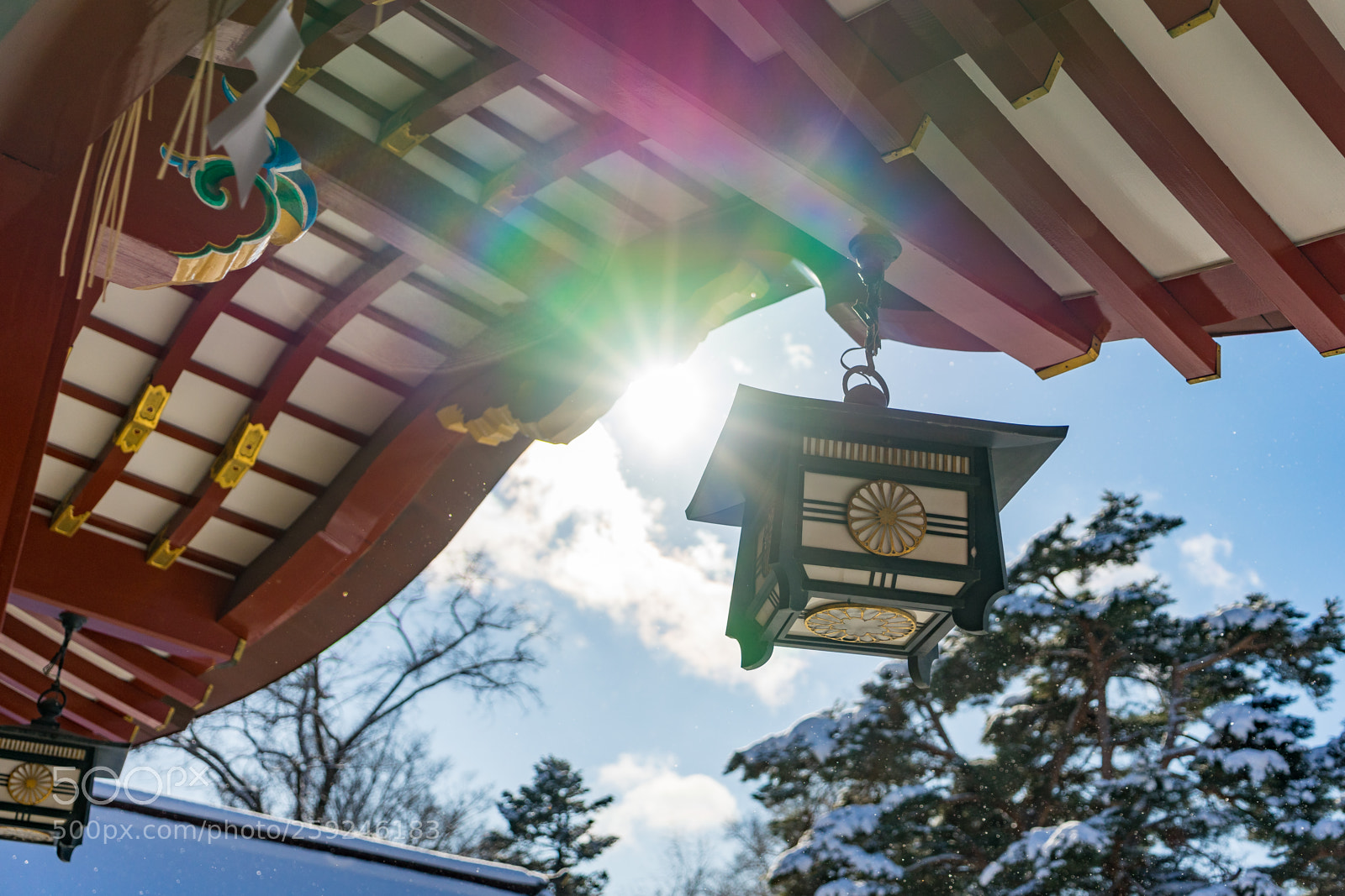 Sony a7 II sample photo. Bright lantern photography